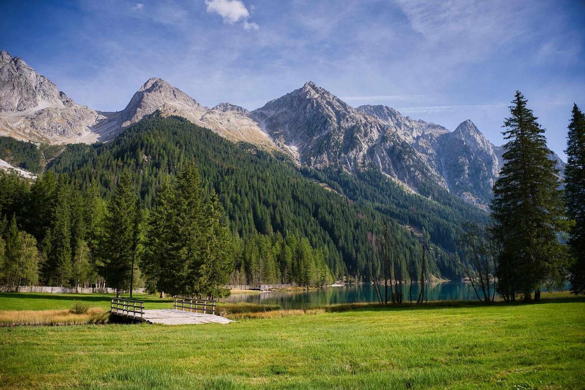 Illustration zu Rasen Richtig Wässern
