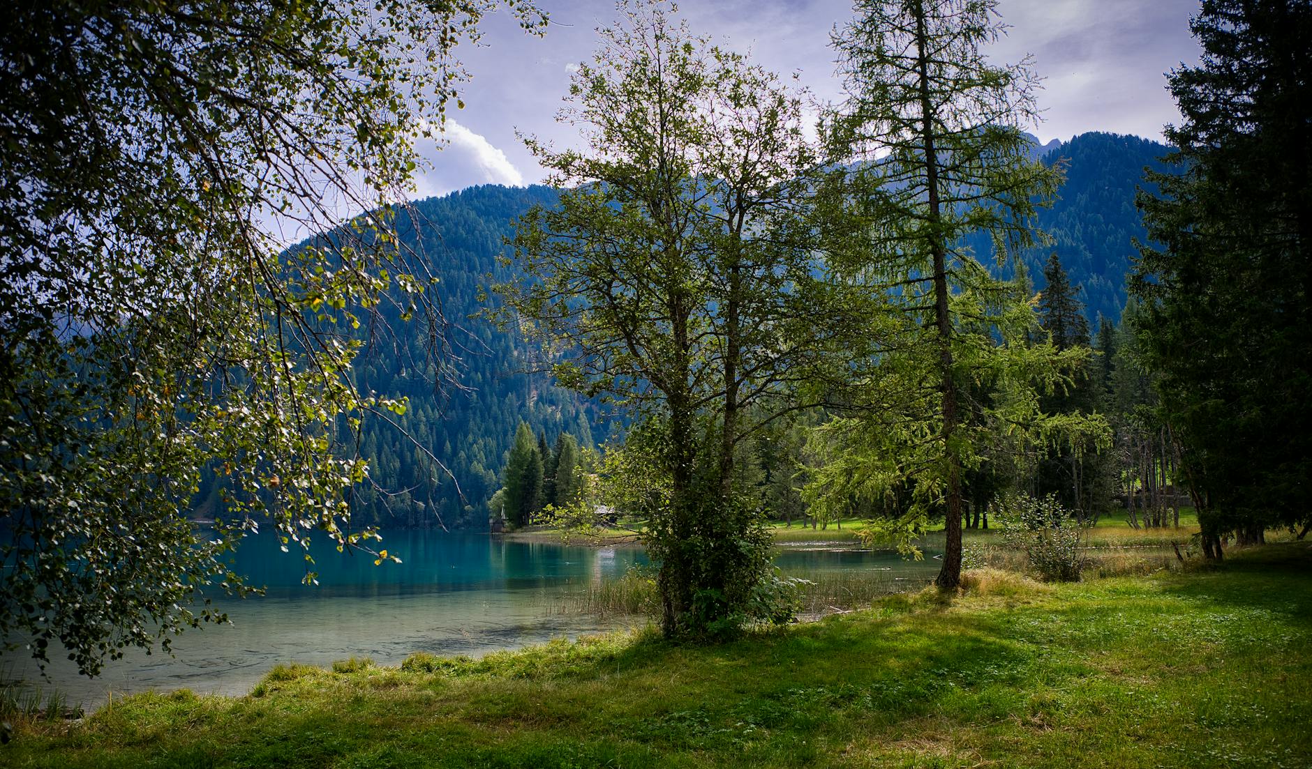 Detailansicht: Rasen Richtig Wässern