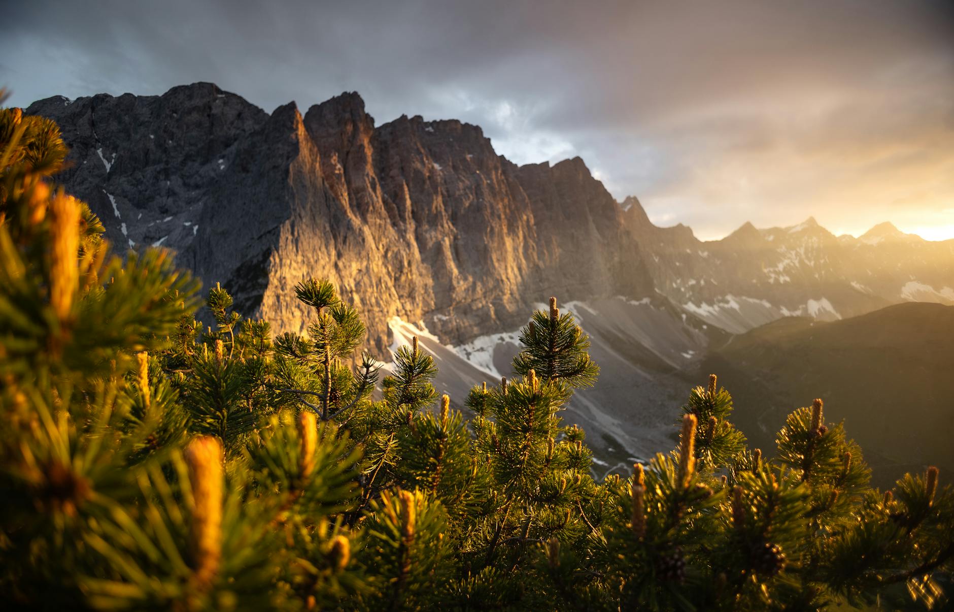 Symbolbild zum Thema Rosengarten Babyleiche