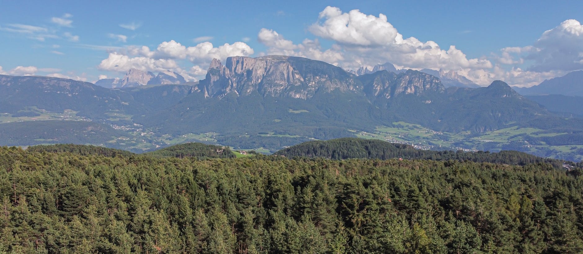 Detailansicht: Rosengarten Babyleiche