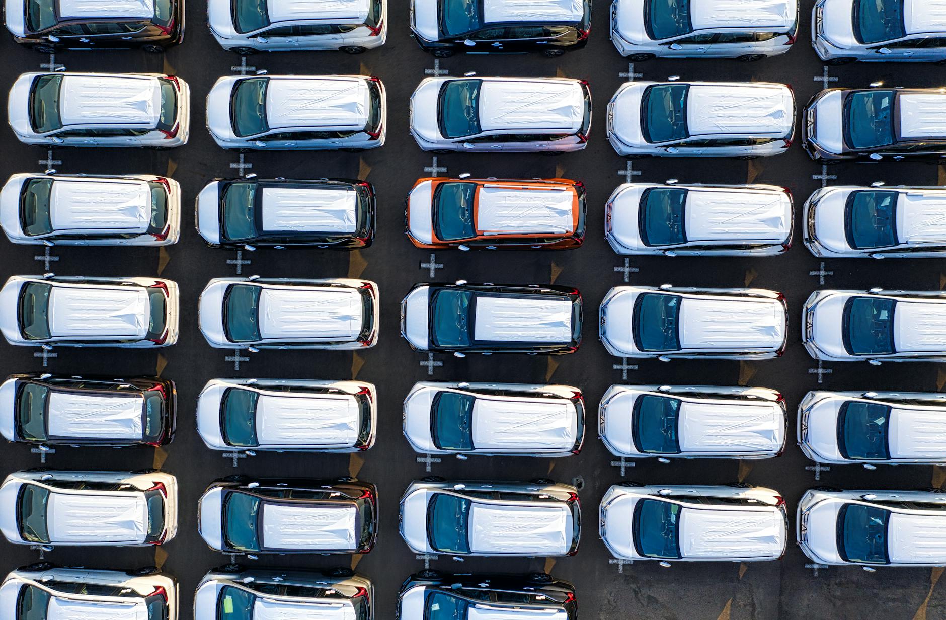 Symbolbild zum Thema Schattennetz Auto