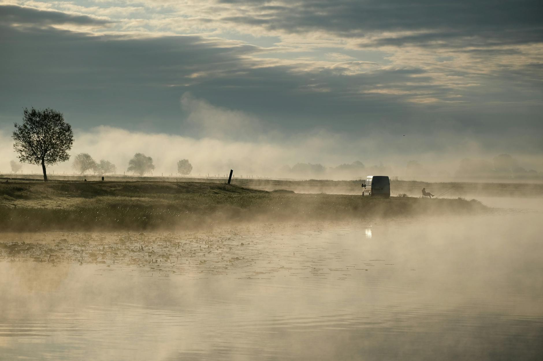 Illustration zu Tierarztpraxis Janine Bahr- Van Gemmert