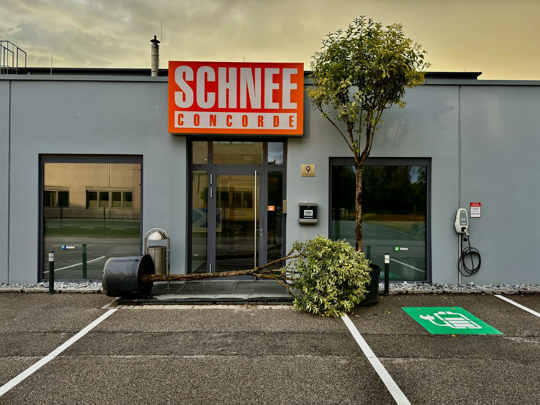 Til Schweiger Detailansicht: Til Schweiger