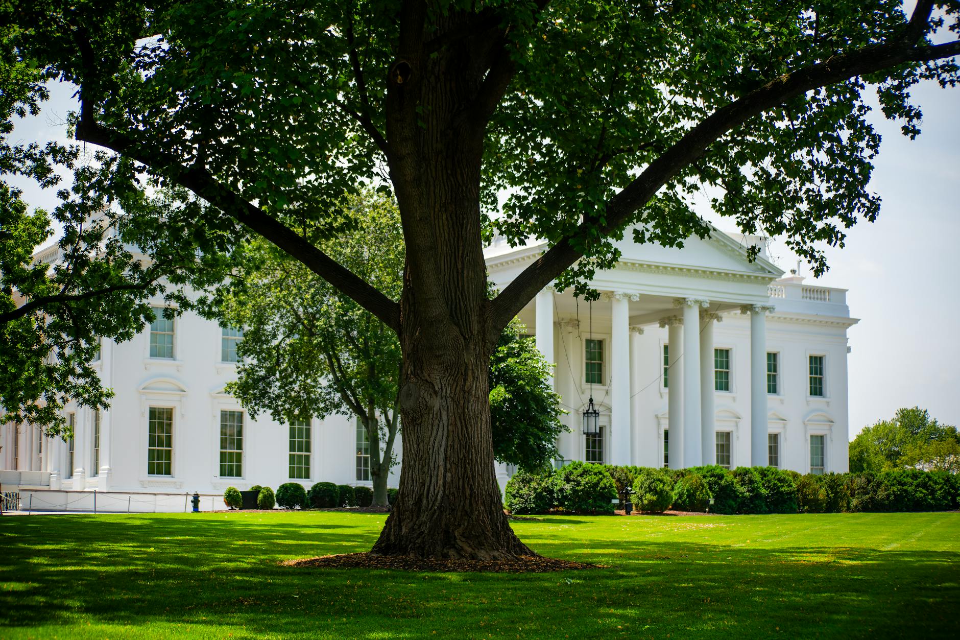Detailansicht: Trump Rede USA