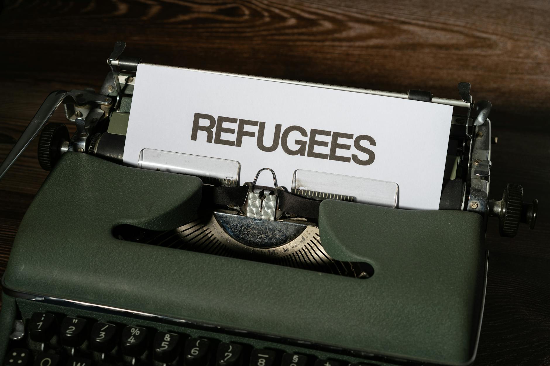 Illustration zu U-ausschuss Ngos