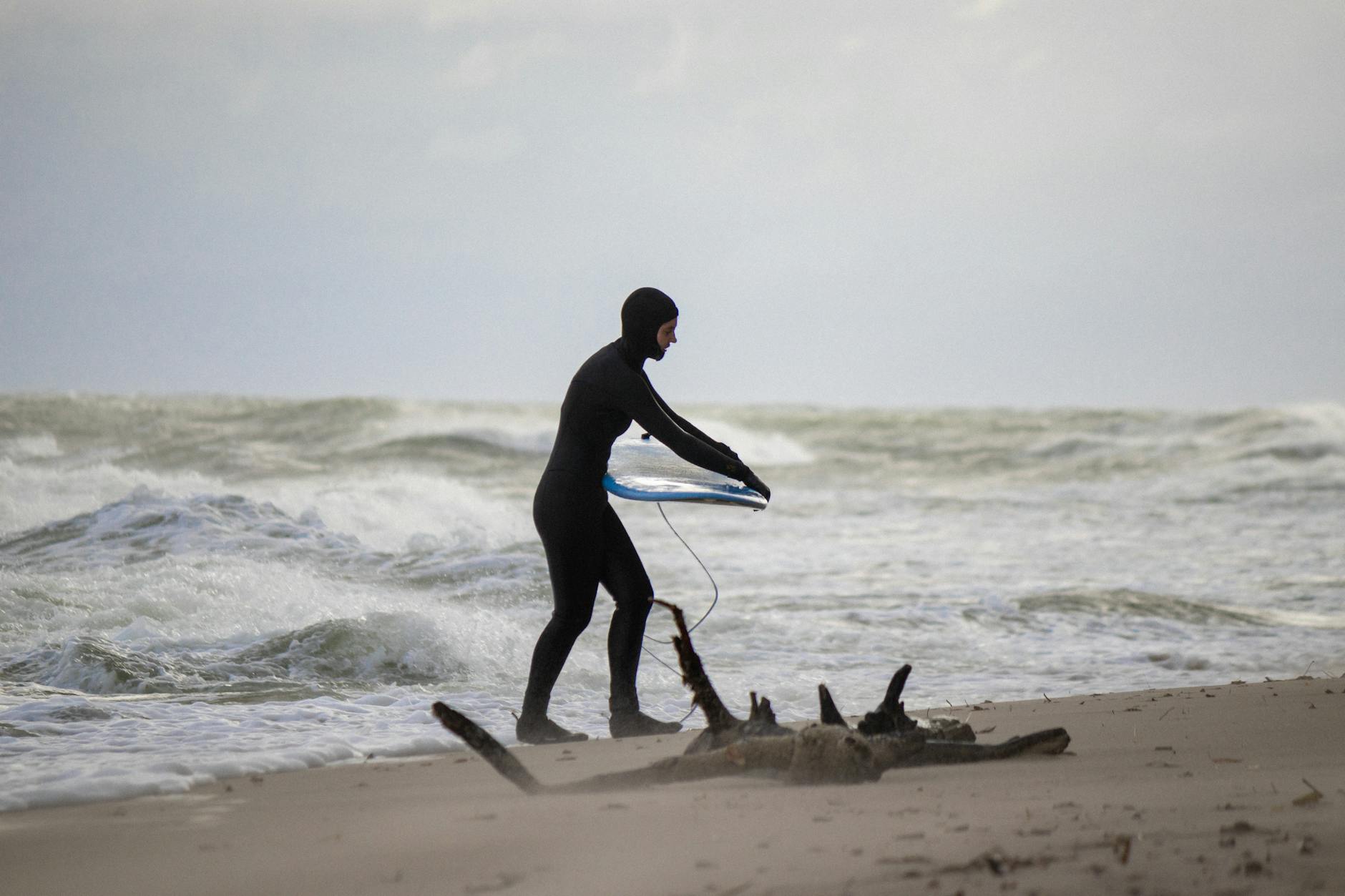 Detailansicht: Wal Gestrandet Ostsee