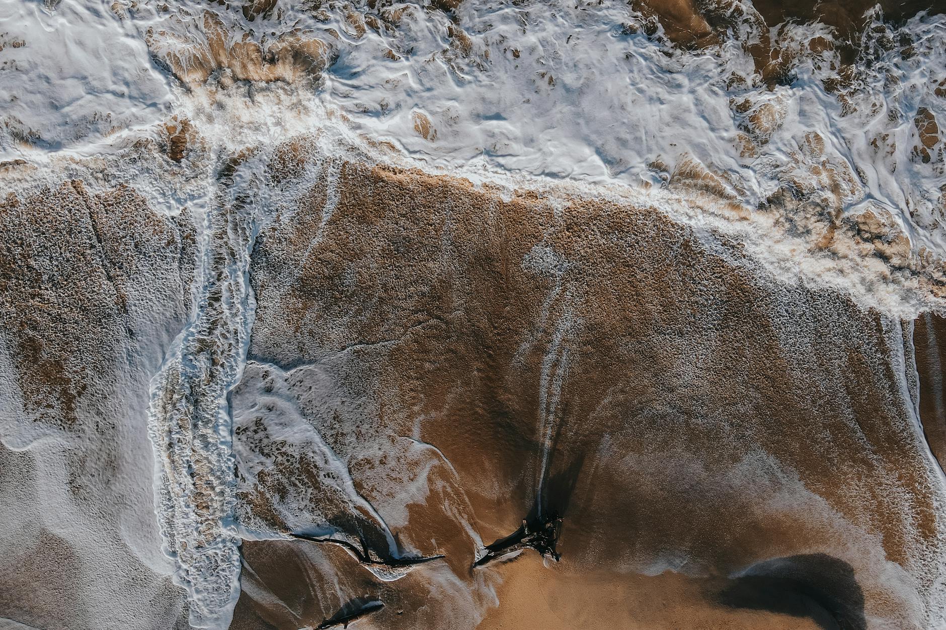 Illustration zu Wal Gestrandet Wismar