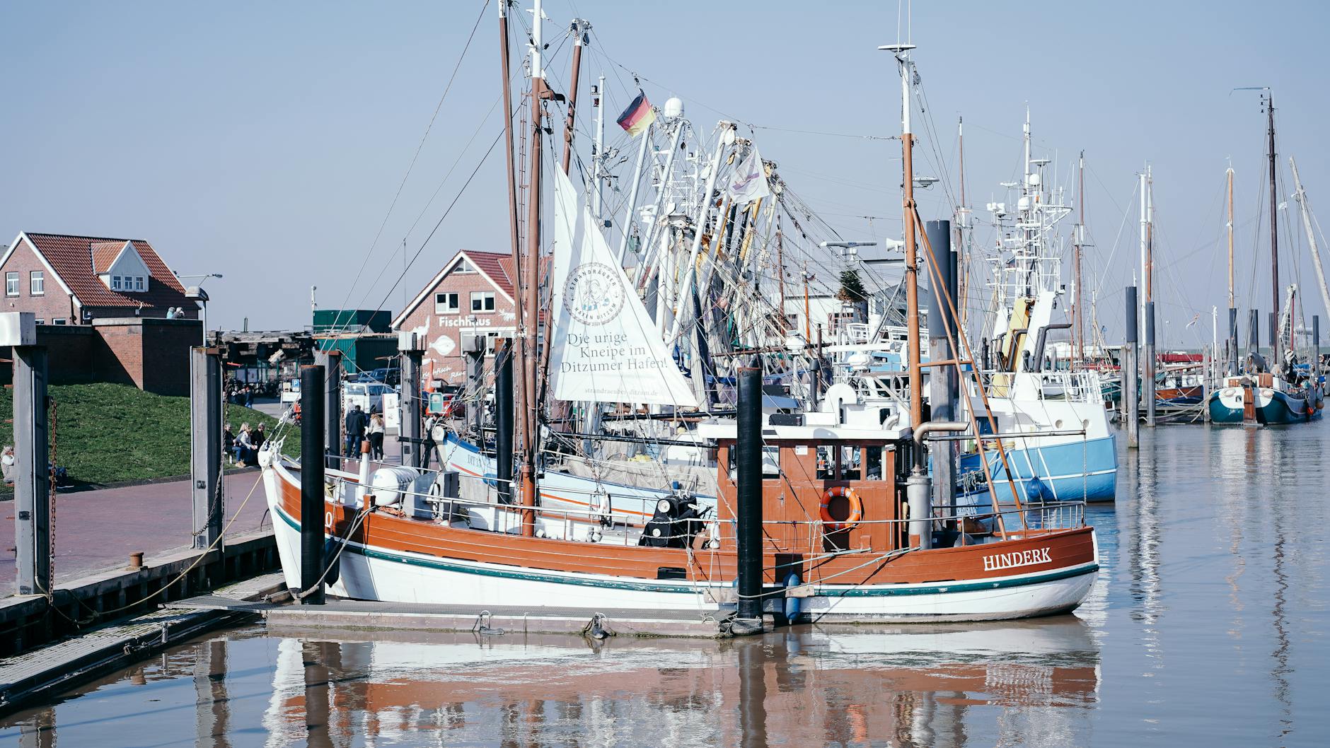 Wal Insel Poel Illustration zu Wal Insel Poel