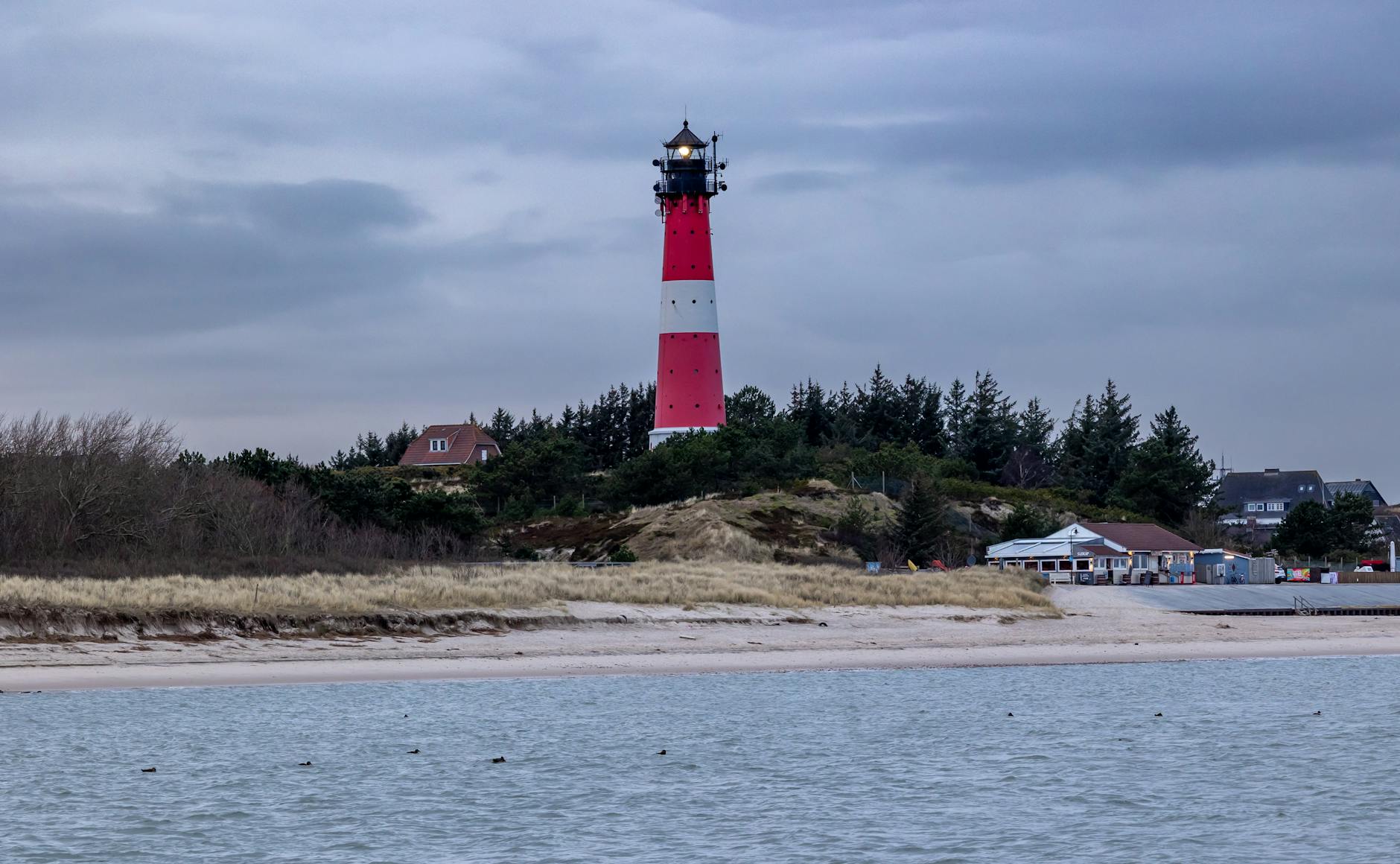 Symbolbild zum Thema Wal Insel Poel