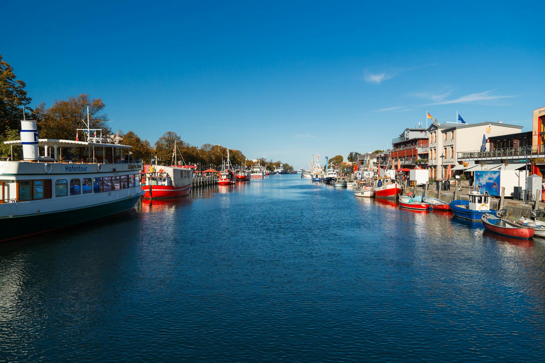 Wal Insel Poel Detailansicht: Wal Insel Poel
