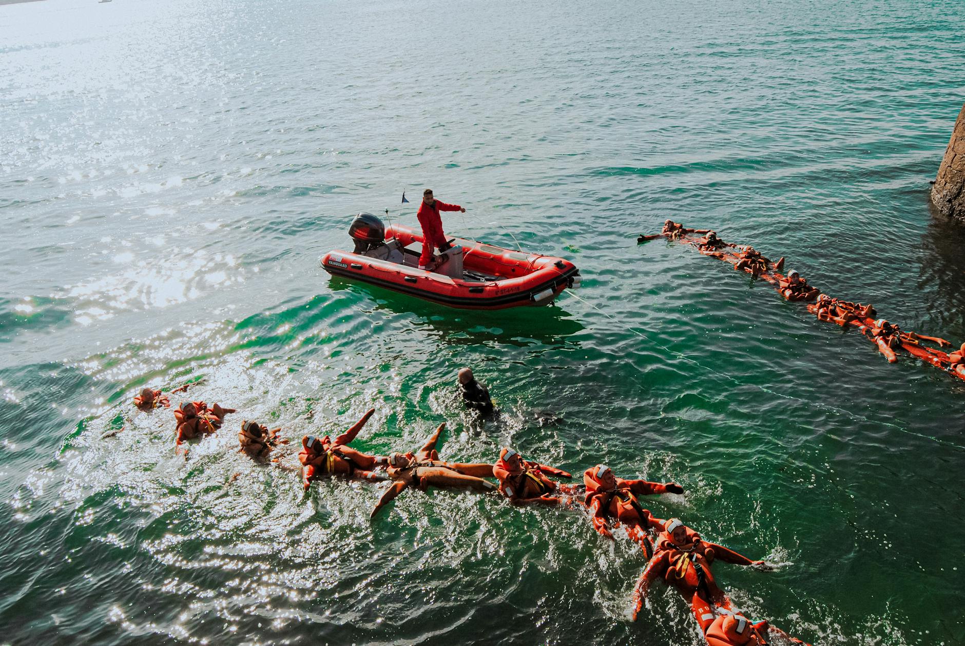 Symbolbild zum Thema Wal Rettungsaktion
