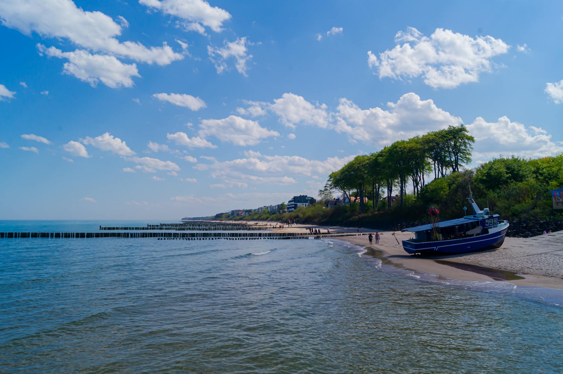 Wal Strandung Ostsee Illustration zu Wal Strandung Ostsee