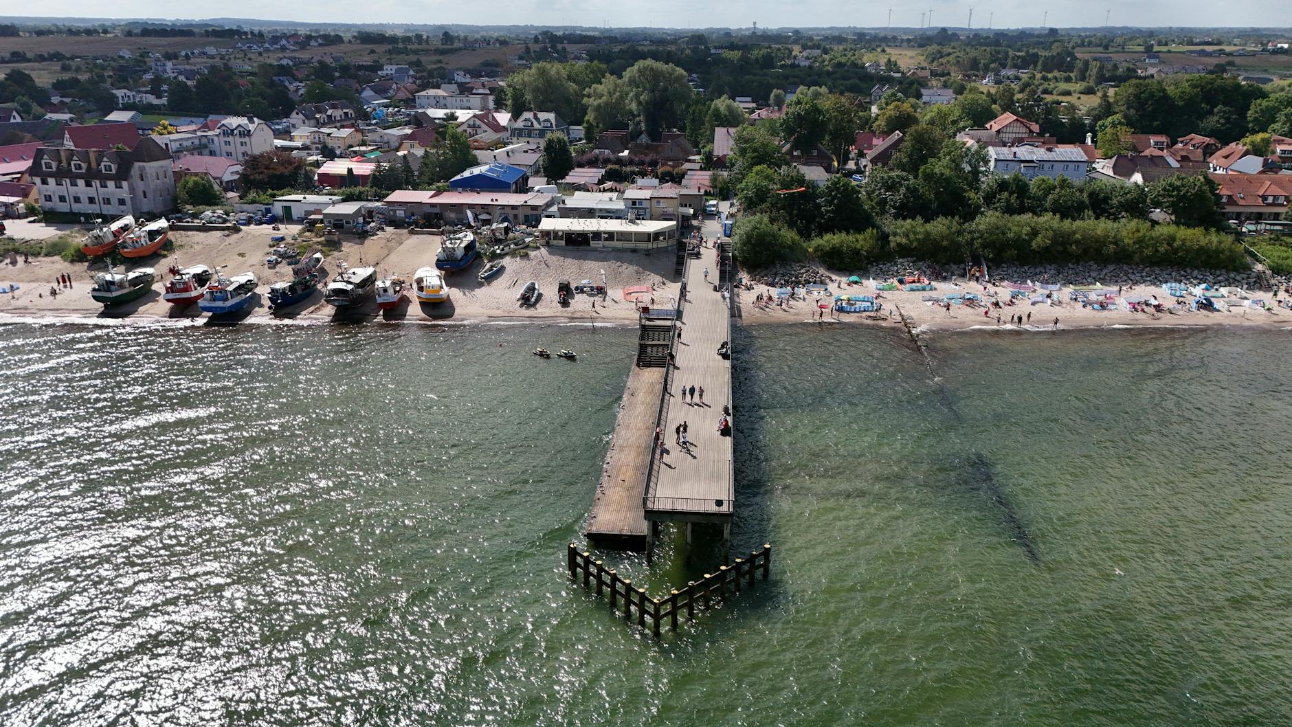 Symbolbild zum Thema Wal Strandung Ostsee
