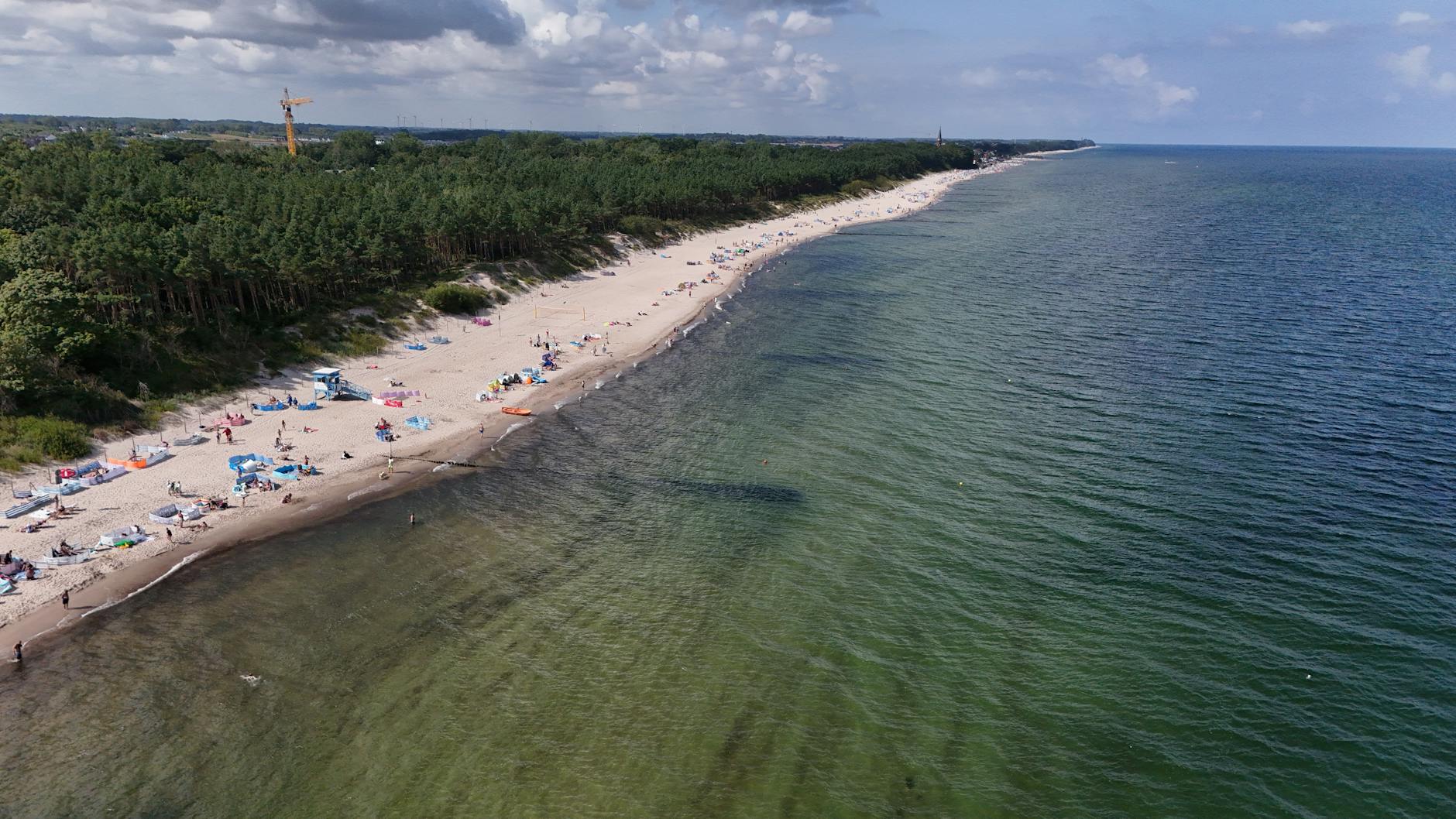 Wal Strandung Ostsee Symbolbild zum Thema Wal Strandung Ostsee