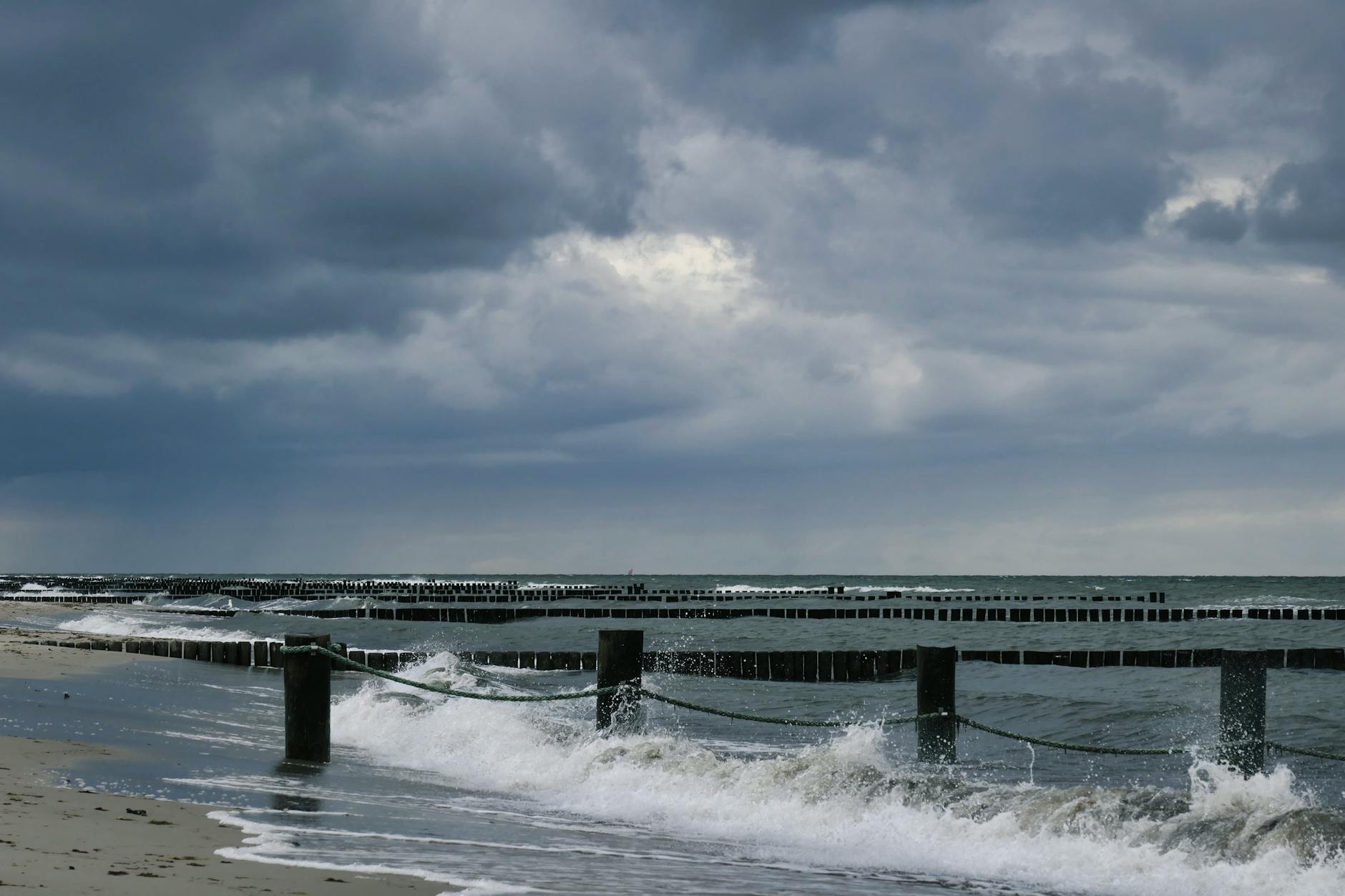 Detailansicht: Wal Strandung Ostsee