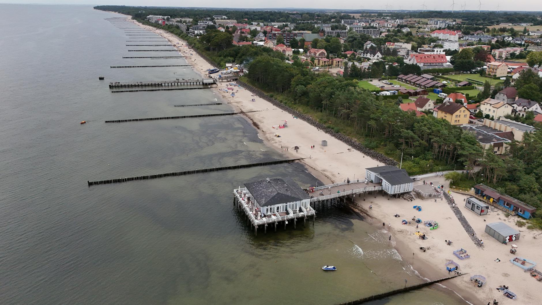 Wal Strandung Ostsee Detailansicht: Wal Strandung Ostsee