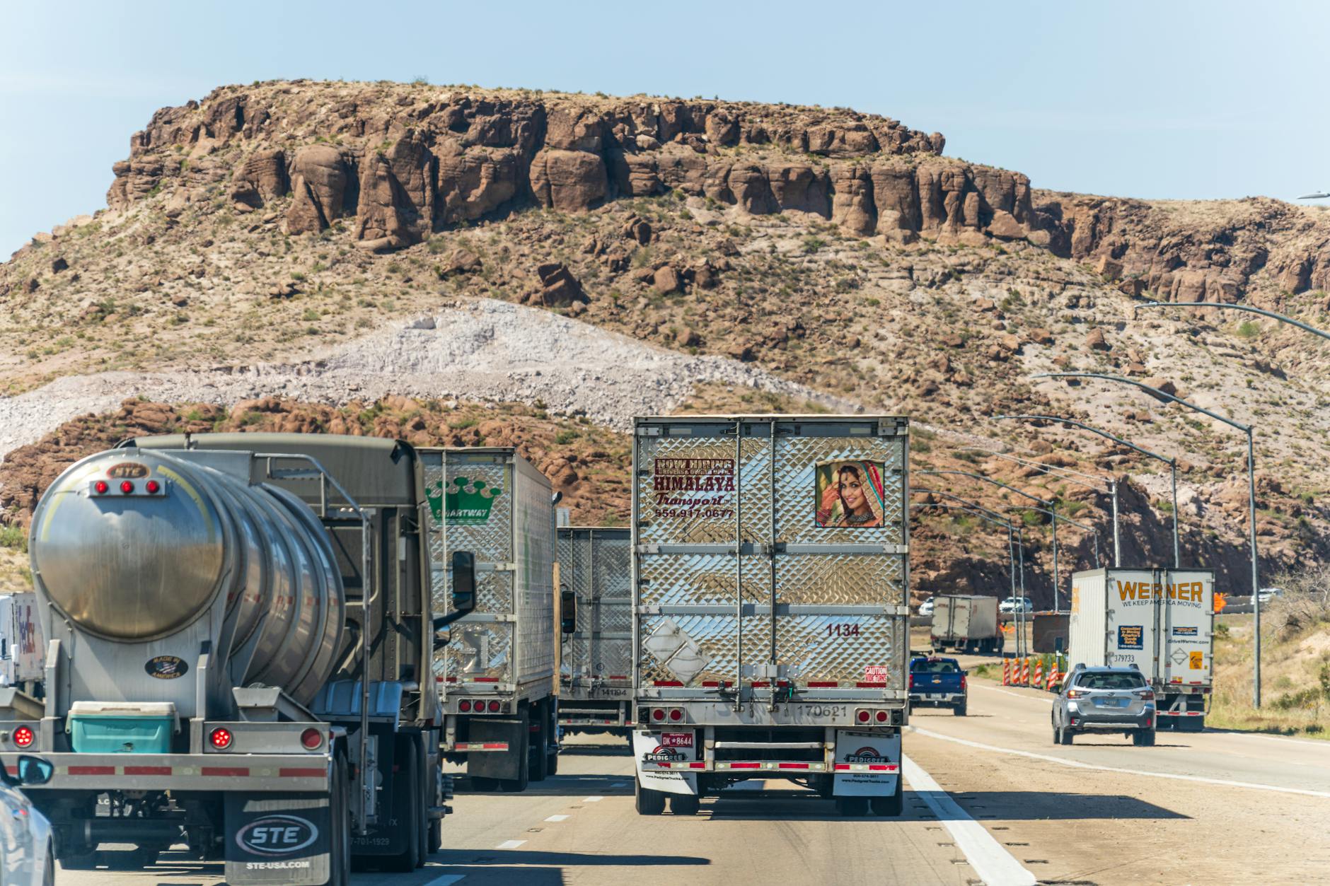 Illustration zu Wal Transport