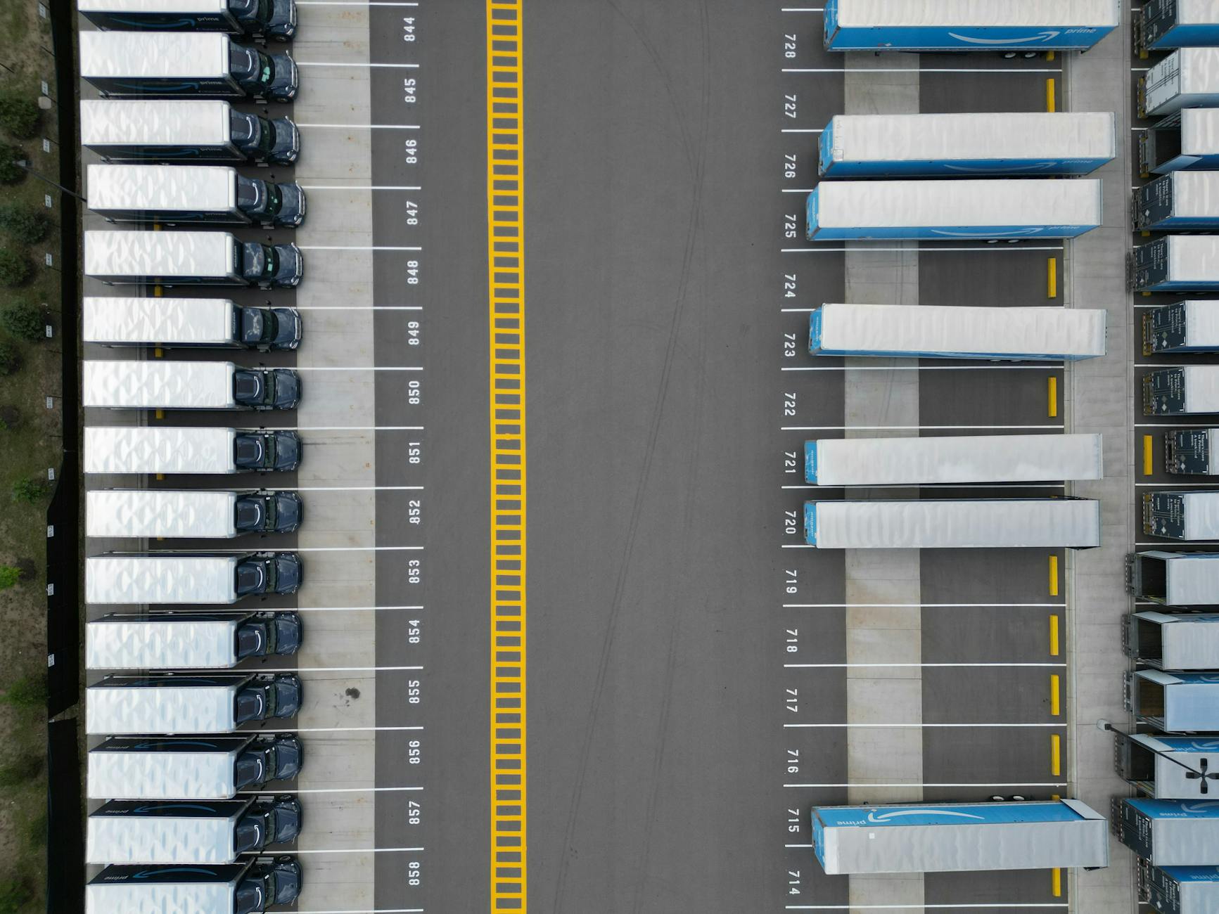 Detailansicht: Wal Transport