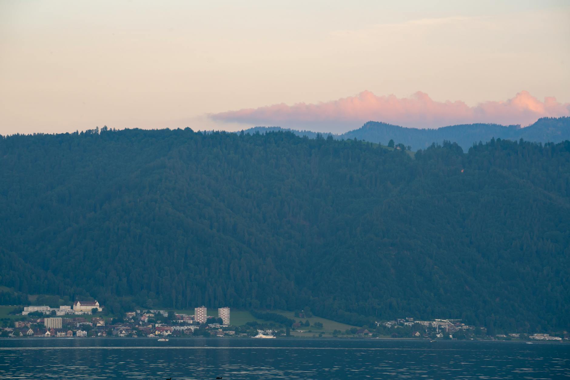 Symbolbild zum Thema Waldbrand Kärnten