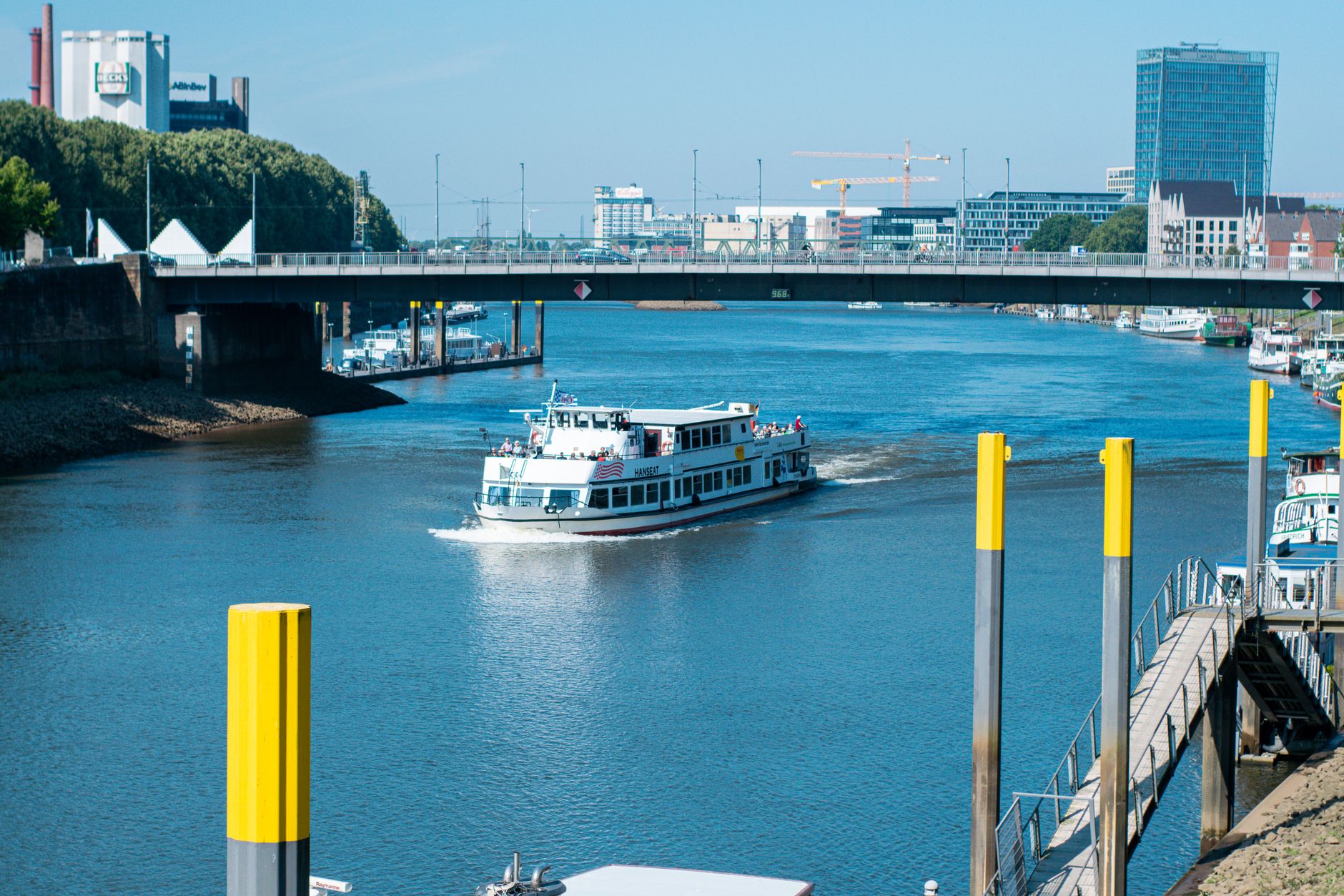 Illustration zu A1 Bremen Wasserbüffel