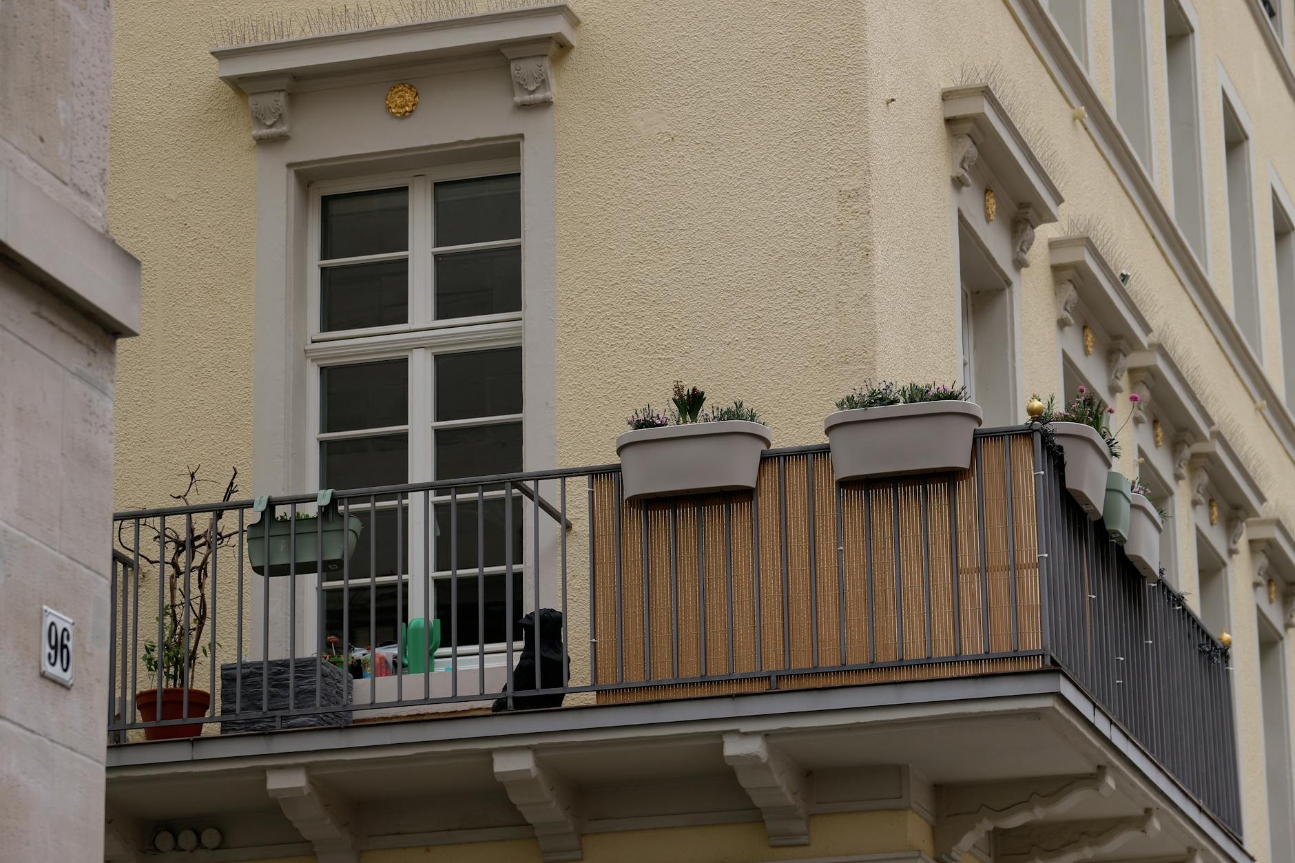 Symbolbild zum Thema Balkon Bewässerungssystem