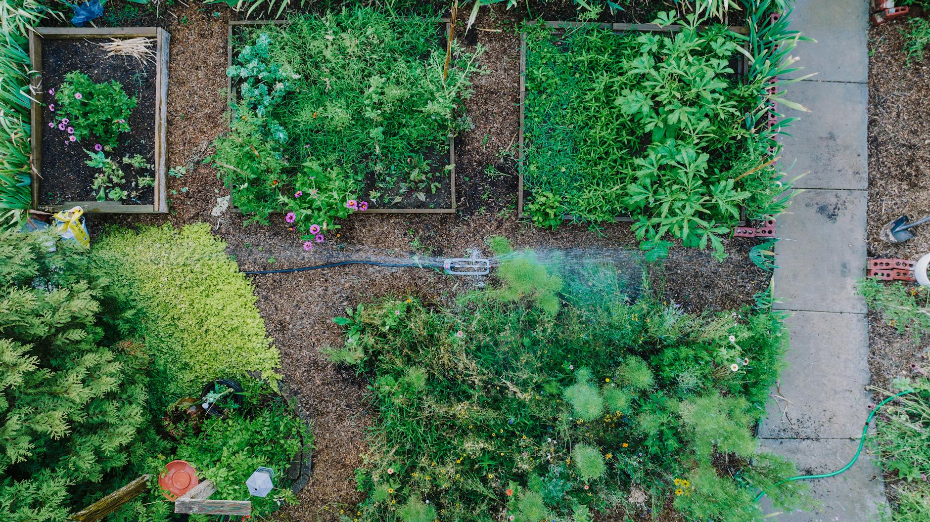 Bewässerungssystem Garten Illustration zu Bewässerungssystem Garten