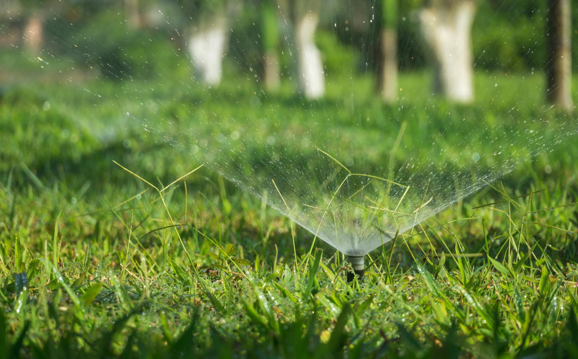 Bewässerungssystem Garten Detailansicht: Bewässerungssystem Garten