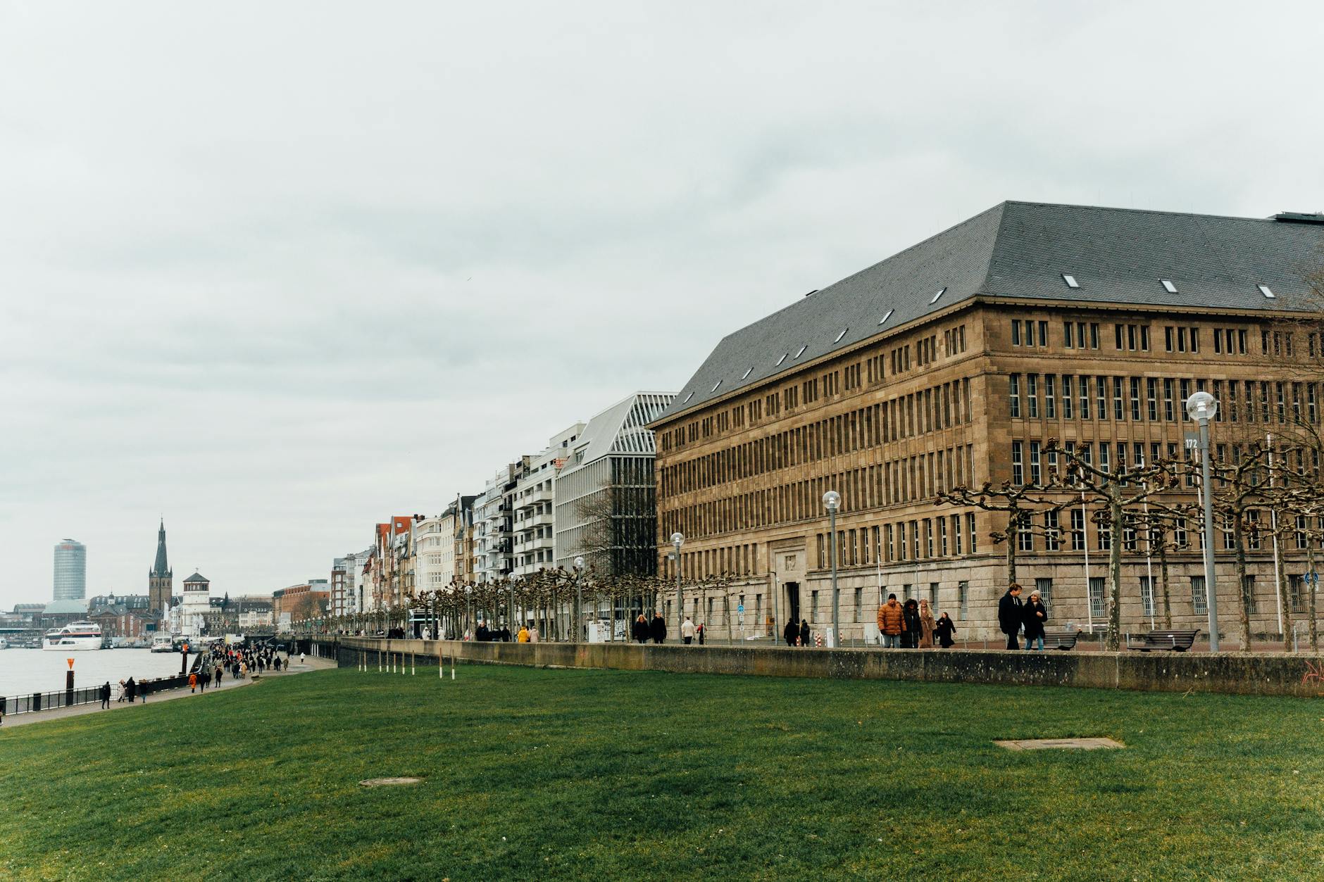 Bienenschwarm Düsseldorf Detailansicht: Bienenschwarm Düsseldorf