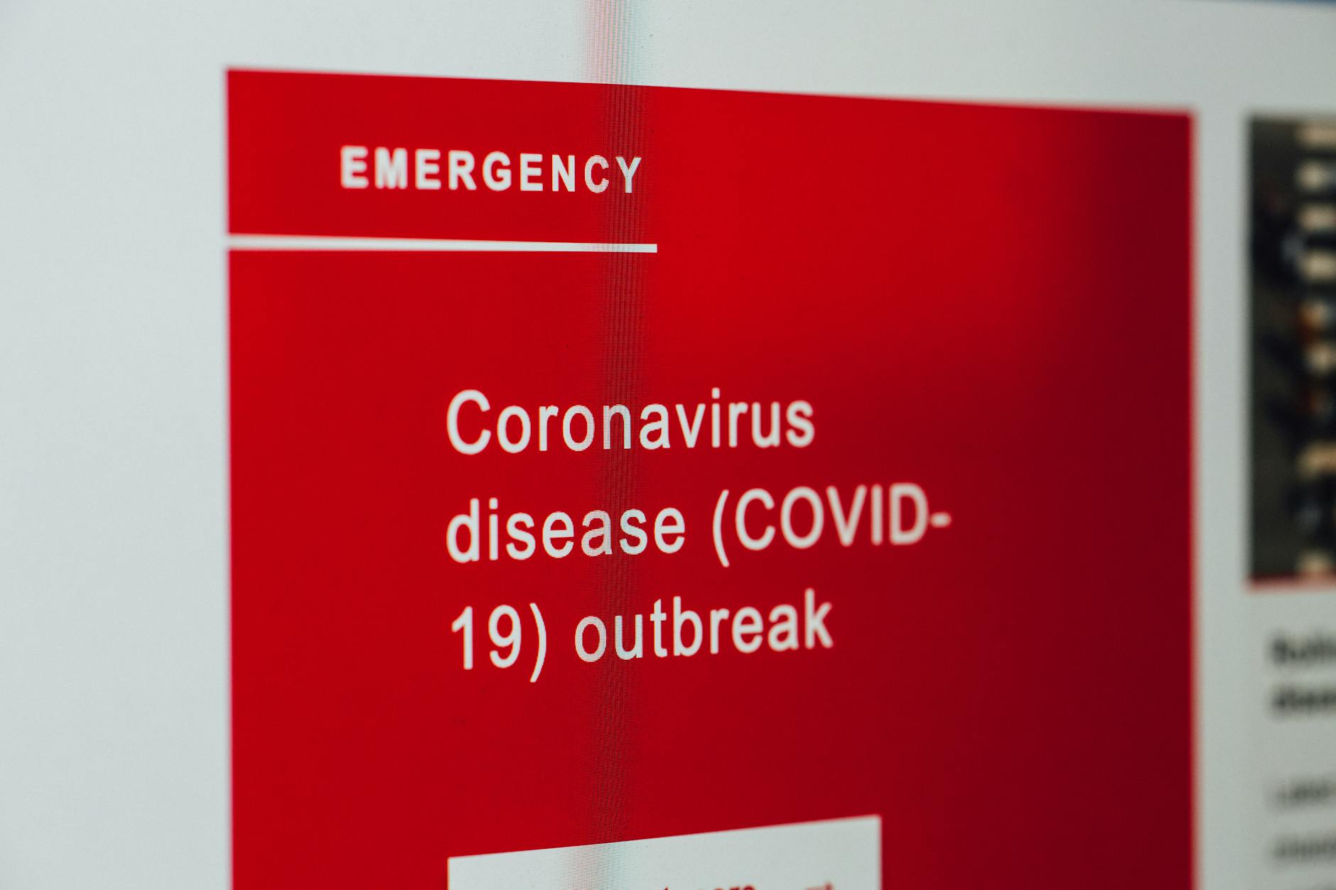 Borna Disease Virus Detailansicht: Borna Disease Virus