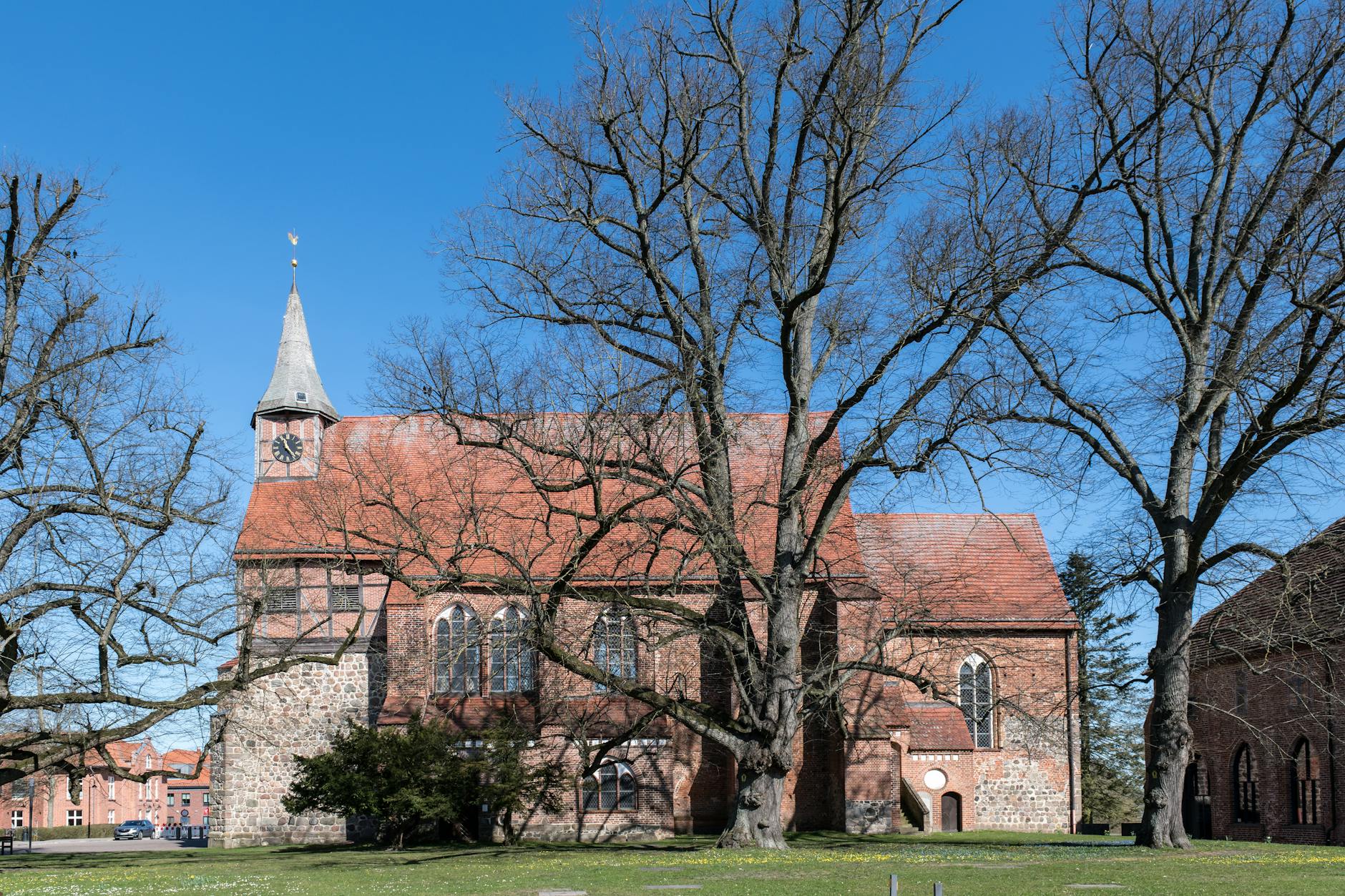 Detailansicht: Bornavirus Mecklenburg-vorpommern