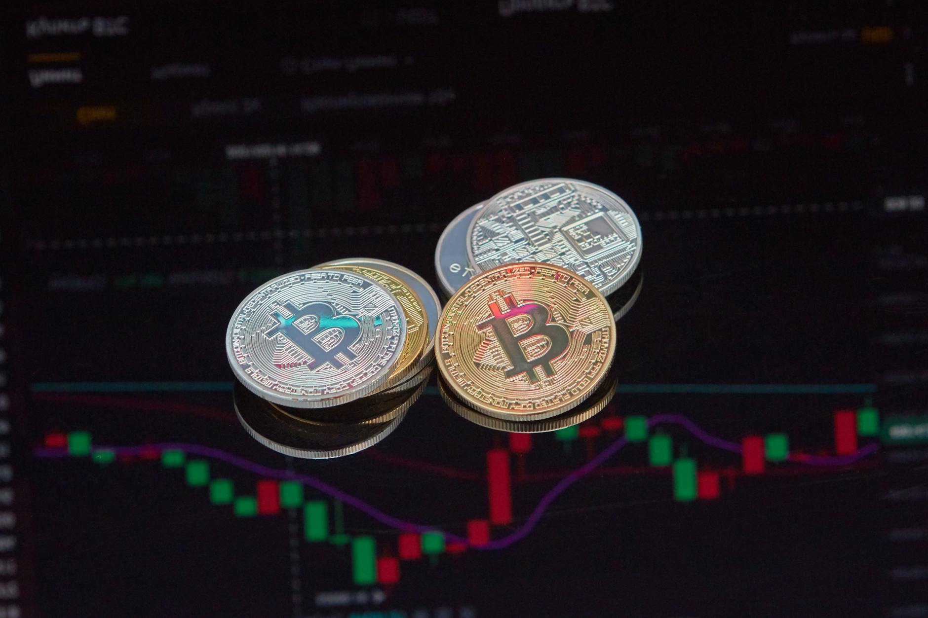 Btc-echo Detailansicht: Btc-echo