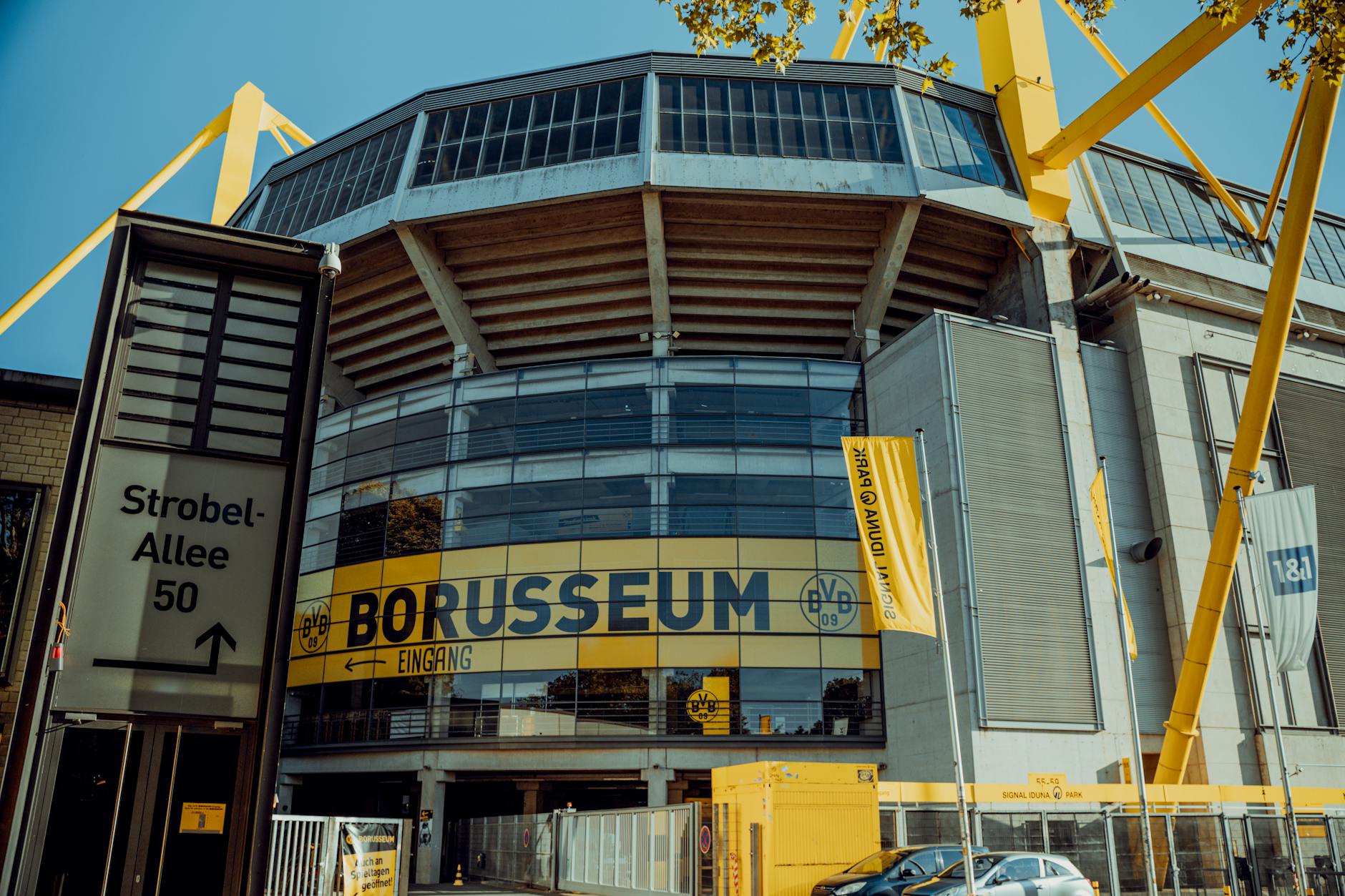 Illustration zu BVB Transfer