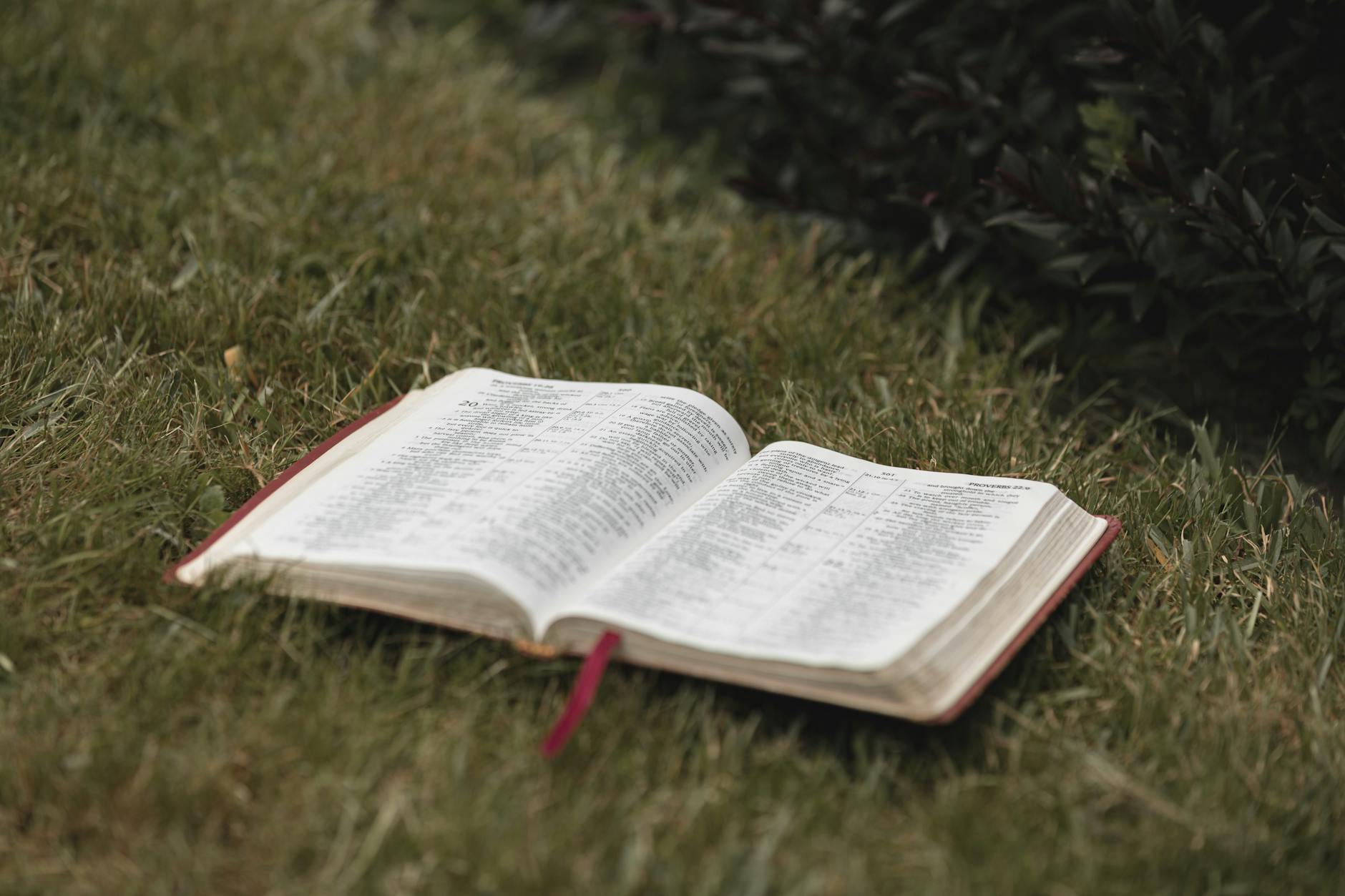 Detailansicht: Christian Friedel