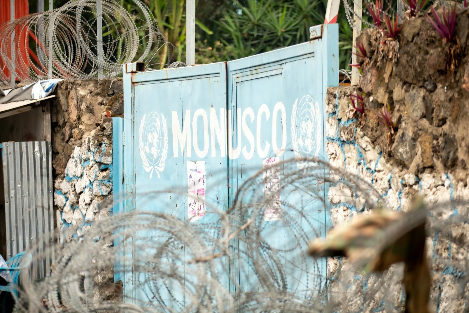 Ebola Ausbruch Kongo Detailansicht: Ebola Ausbruch Kongo