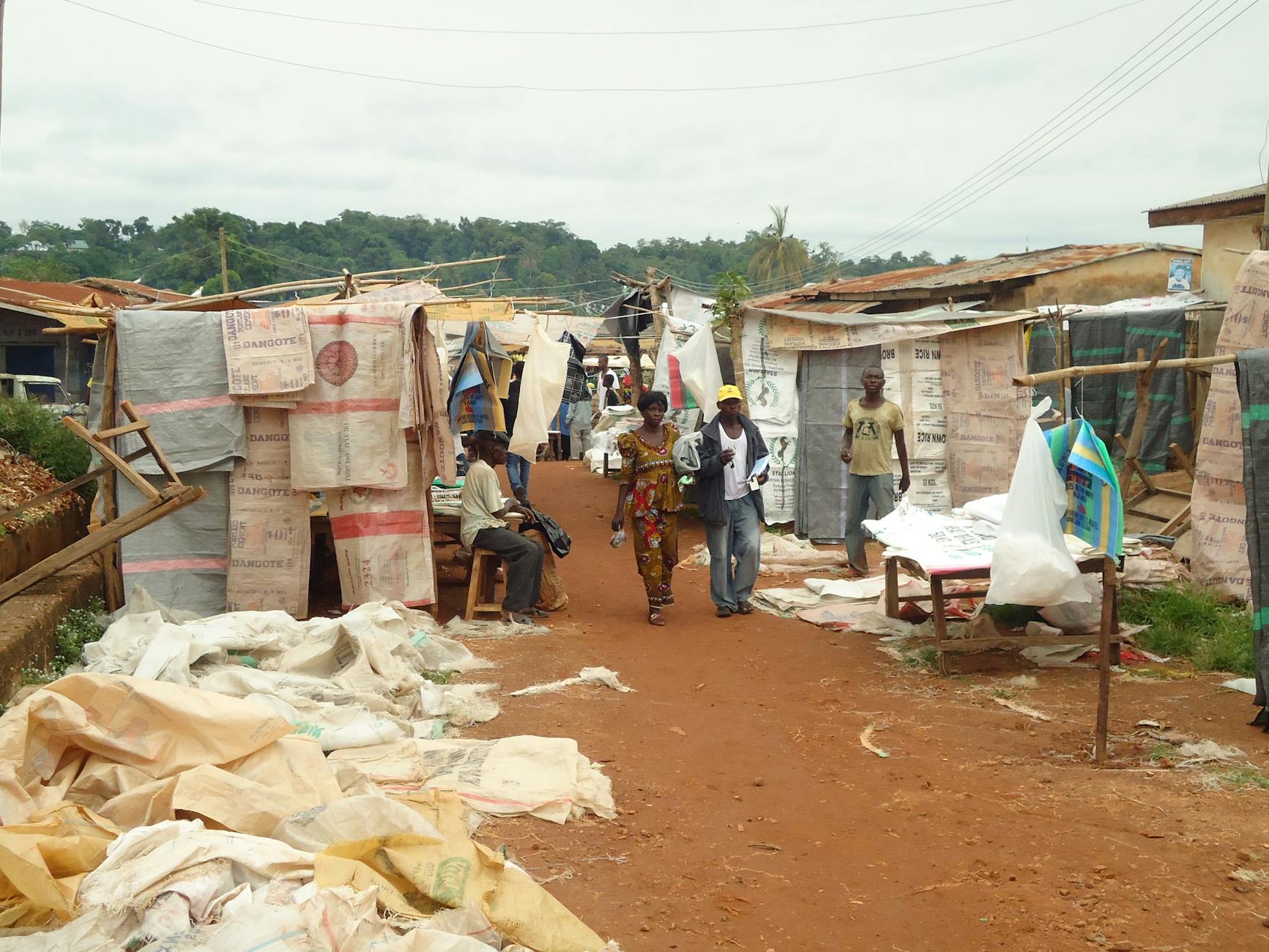 Detailansicht: Ebola Kongo