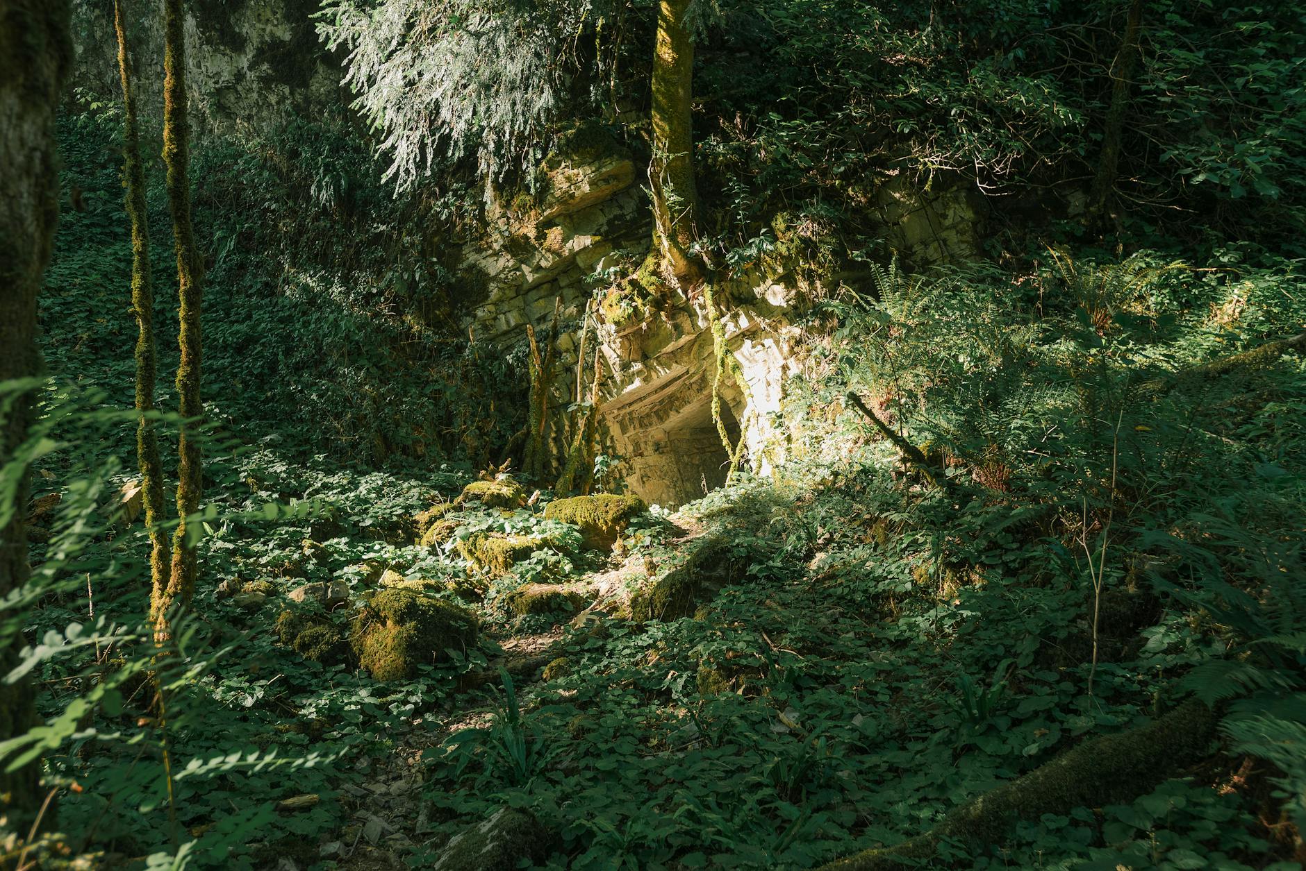 Illustration zu Falkensteiner Höhle Toter