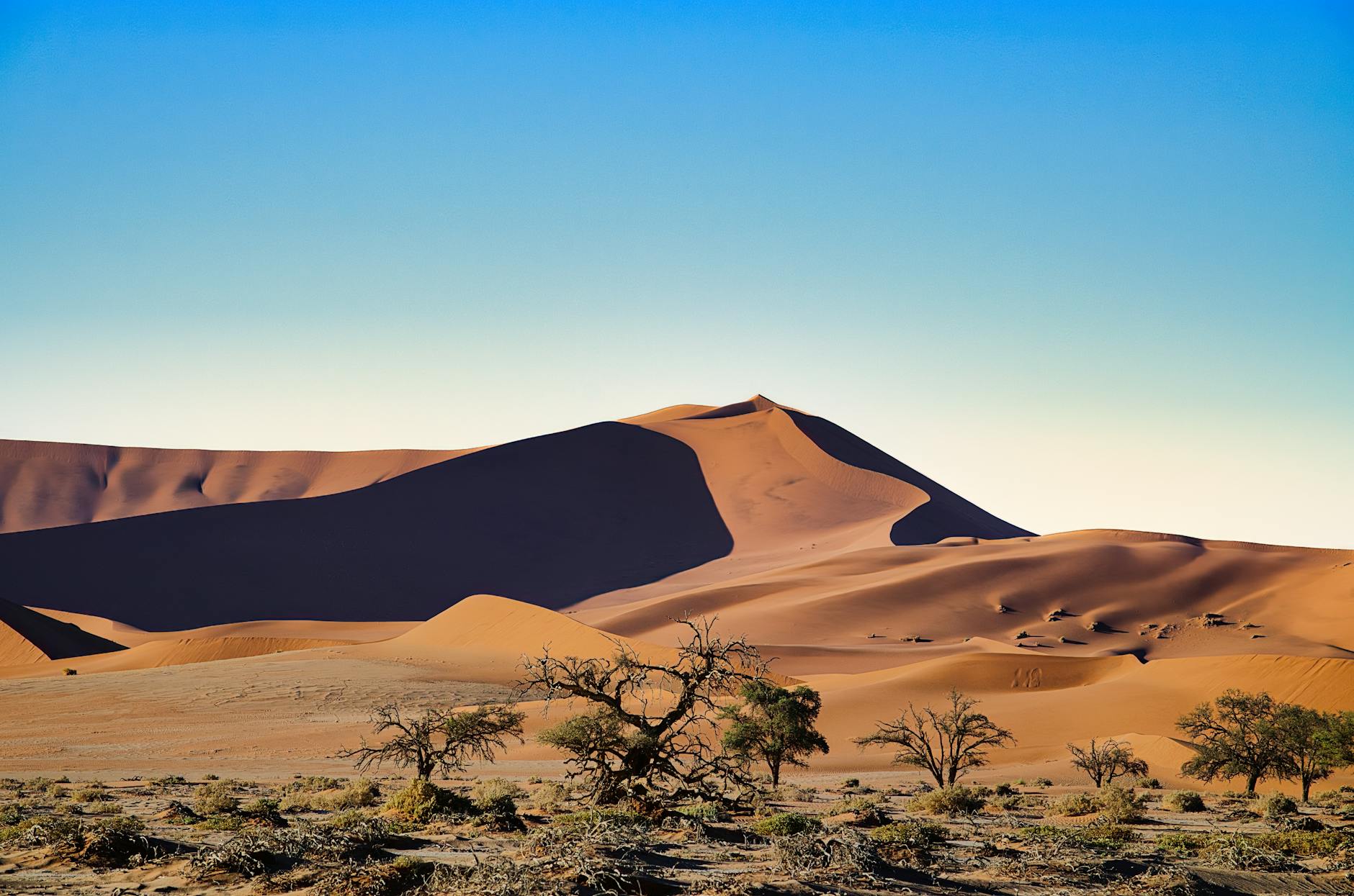 Illustration zu Flugzeugabsturz Namibia