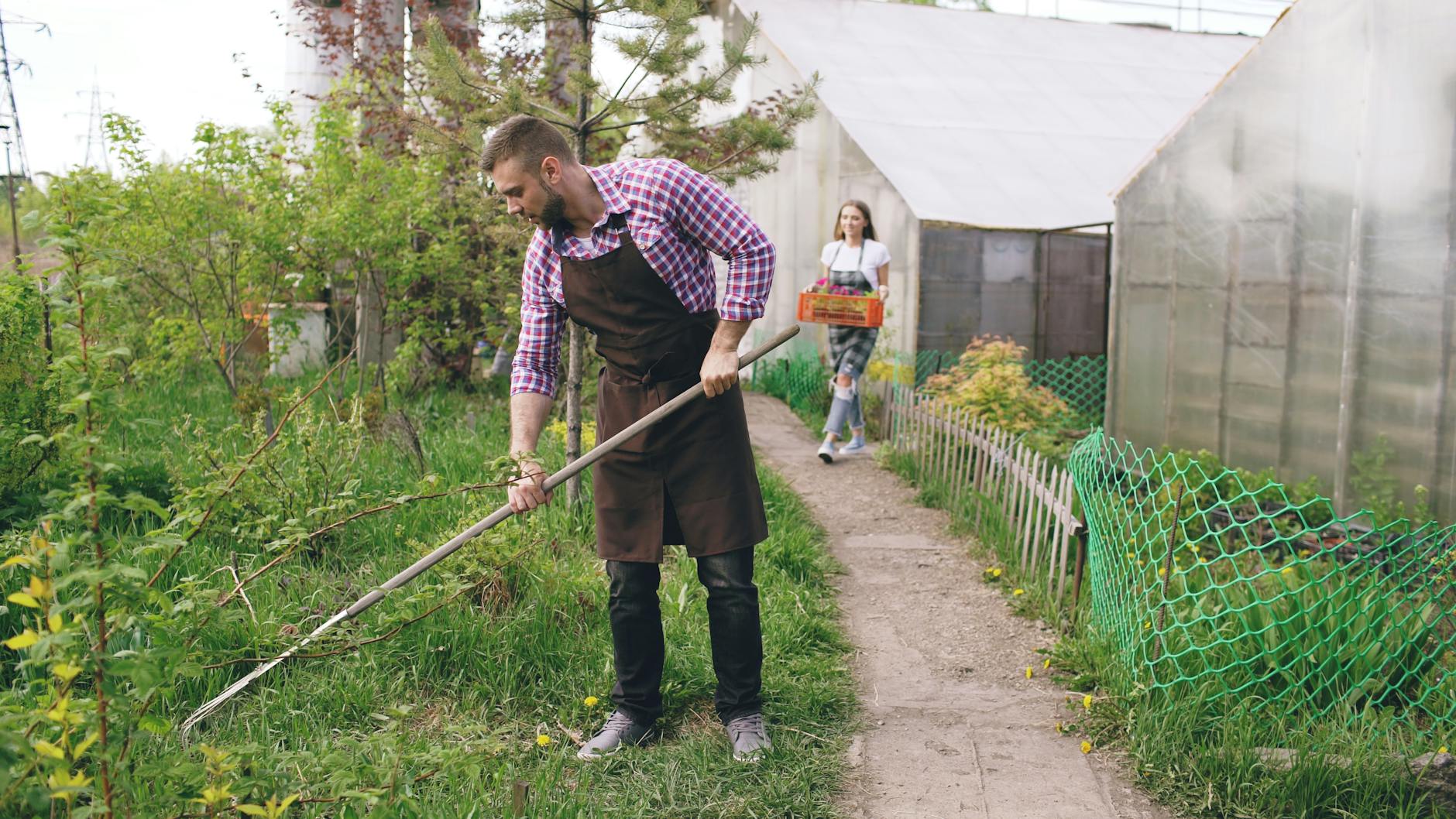 Gartenarbeit Juni Illustration zu Gartenarbeit Juni