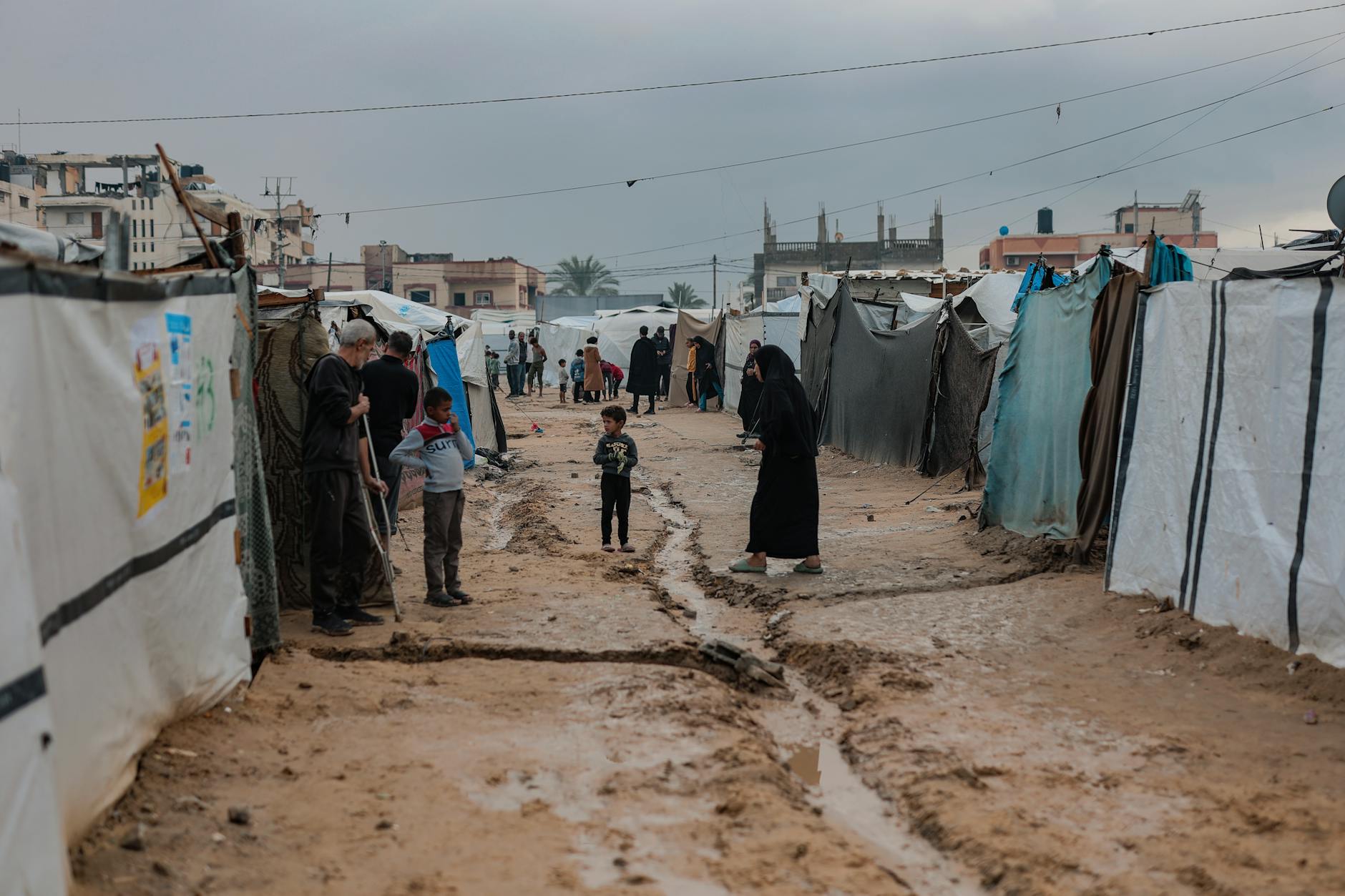 Gaza Hilfsschiffe Detailansicht: Gaza Hilfsschiffe