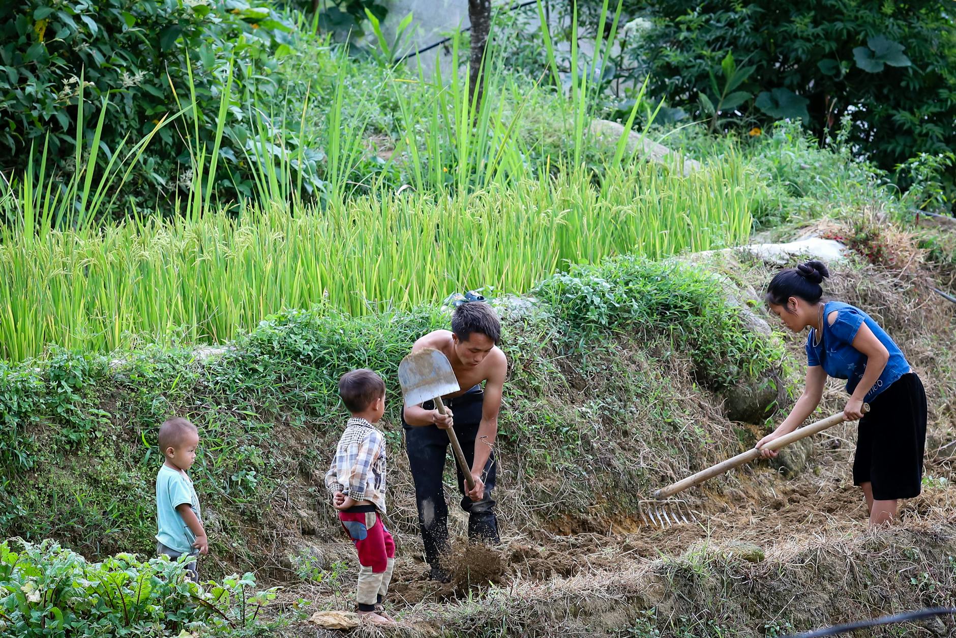 Illustration zu Goldsucher Laos Rettung