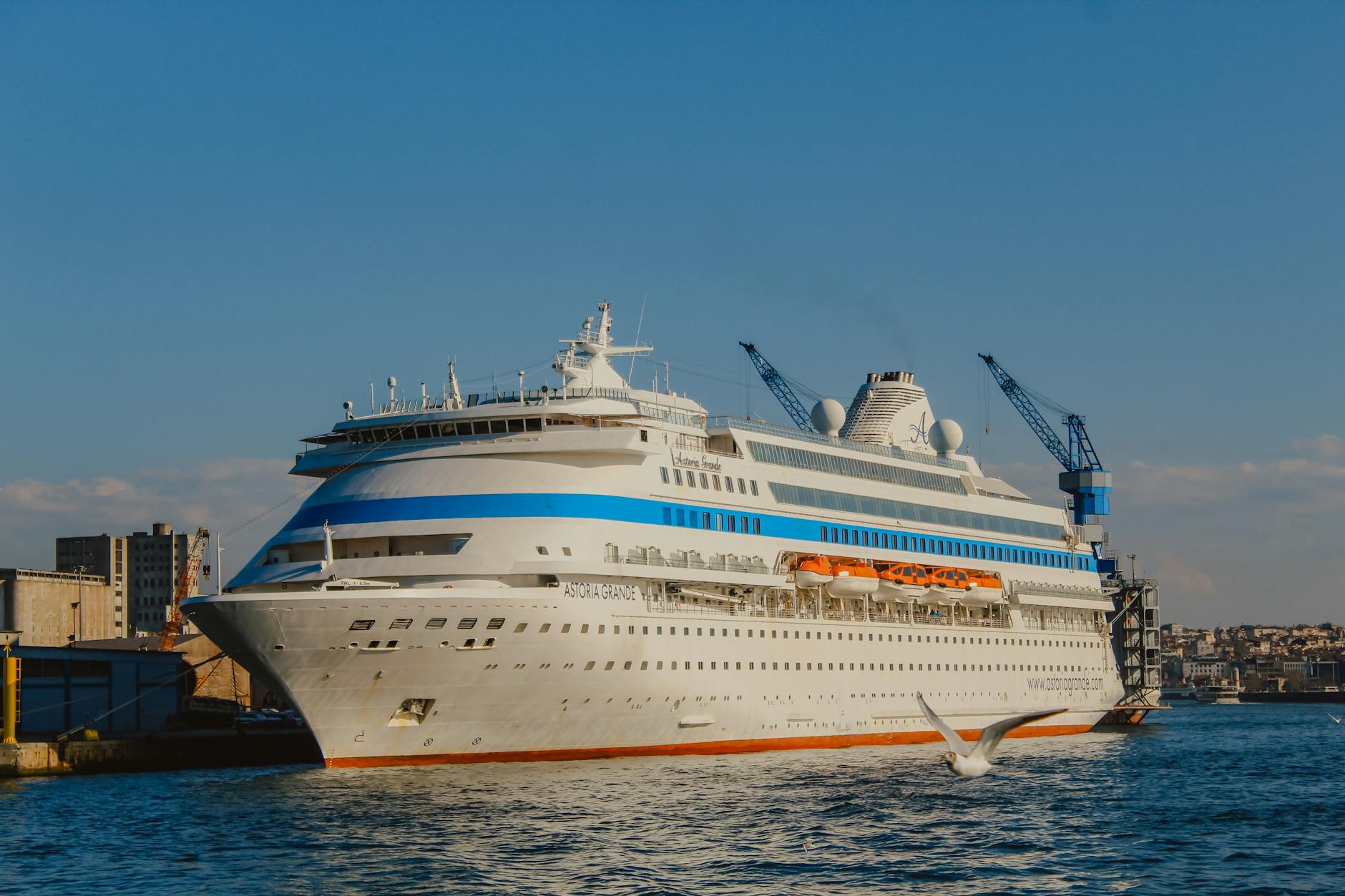 Illustration zu Hantavirus Kreuzfahrtschiff