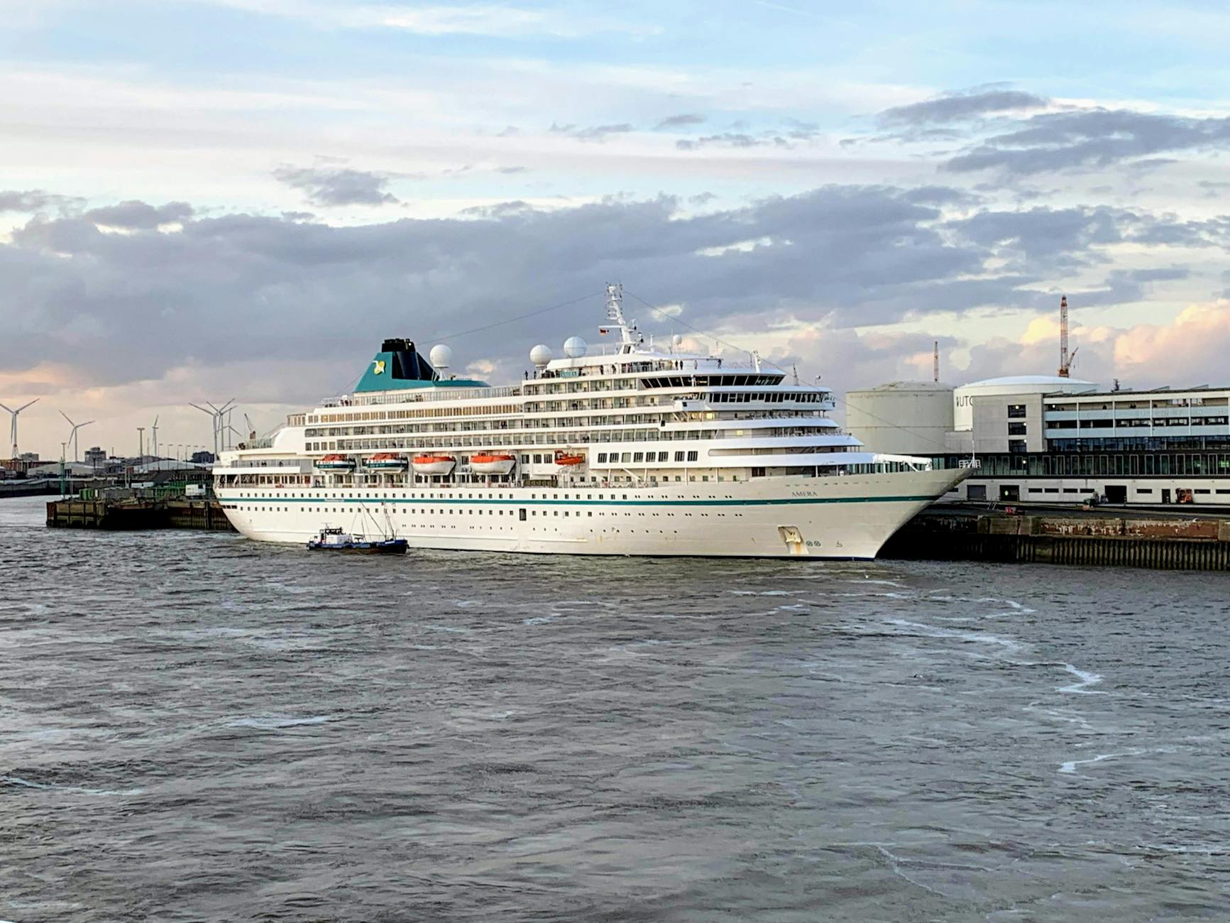 Hantavirus Kreuzfahrtschiff Symbolbild zum Thema Hantavirus Kreuzfahrtschiff
