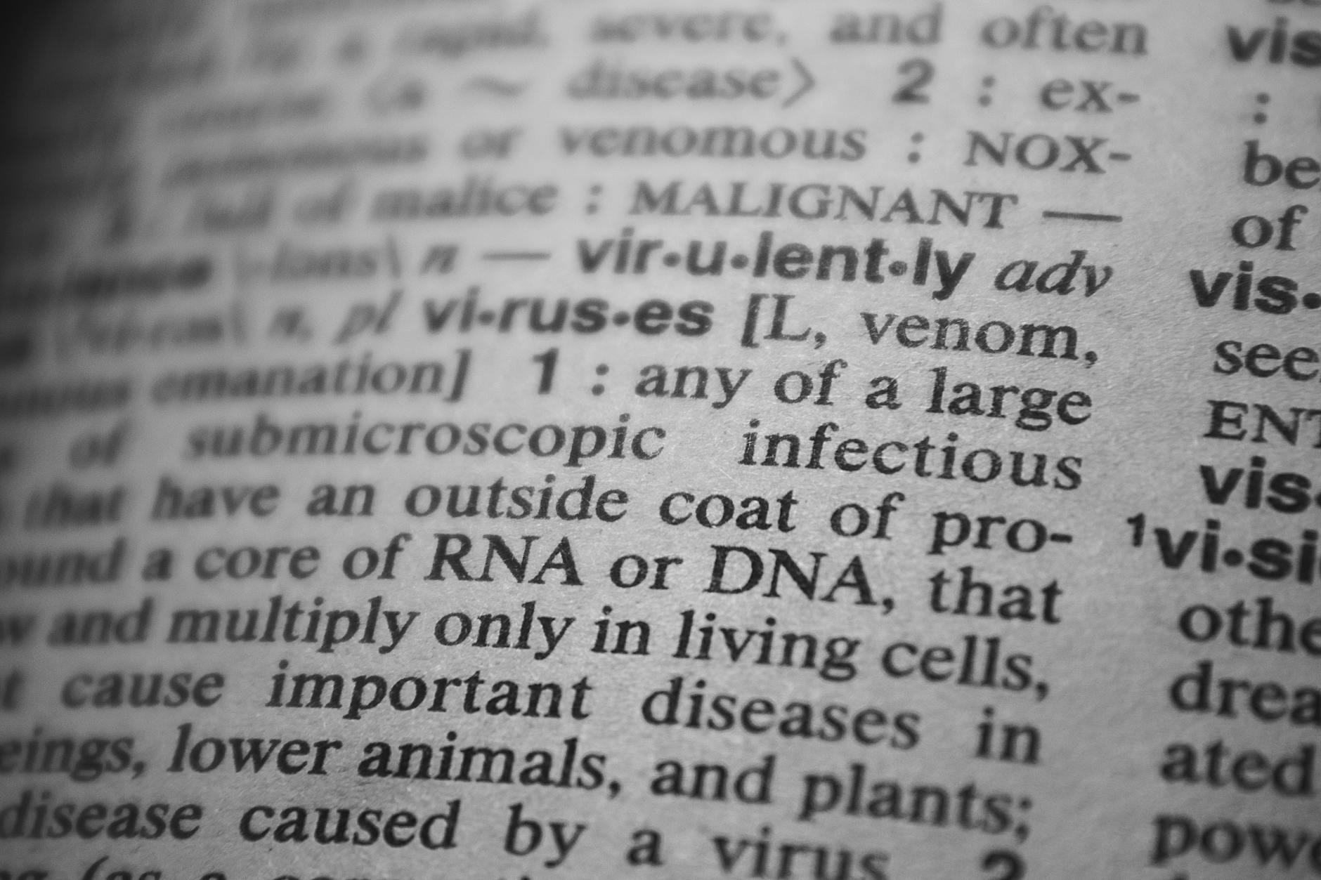 Detailansicht: Hantavirus Mutation
