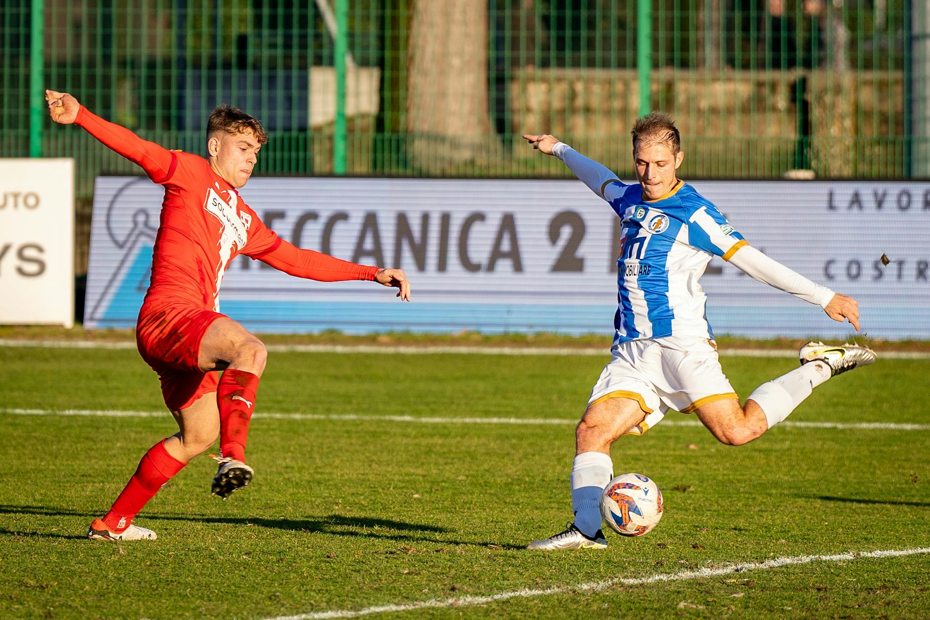 Hertha BSC Detailansicht: Hertha BSC