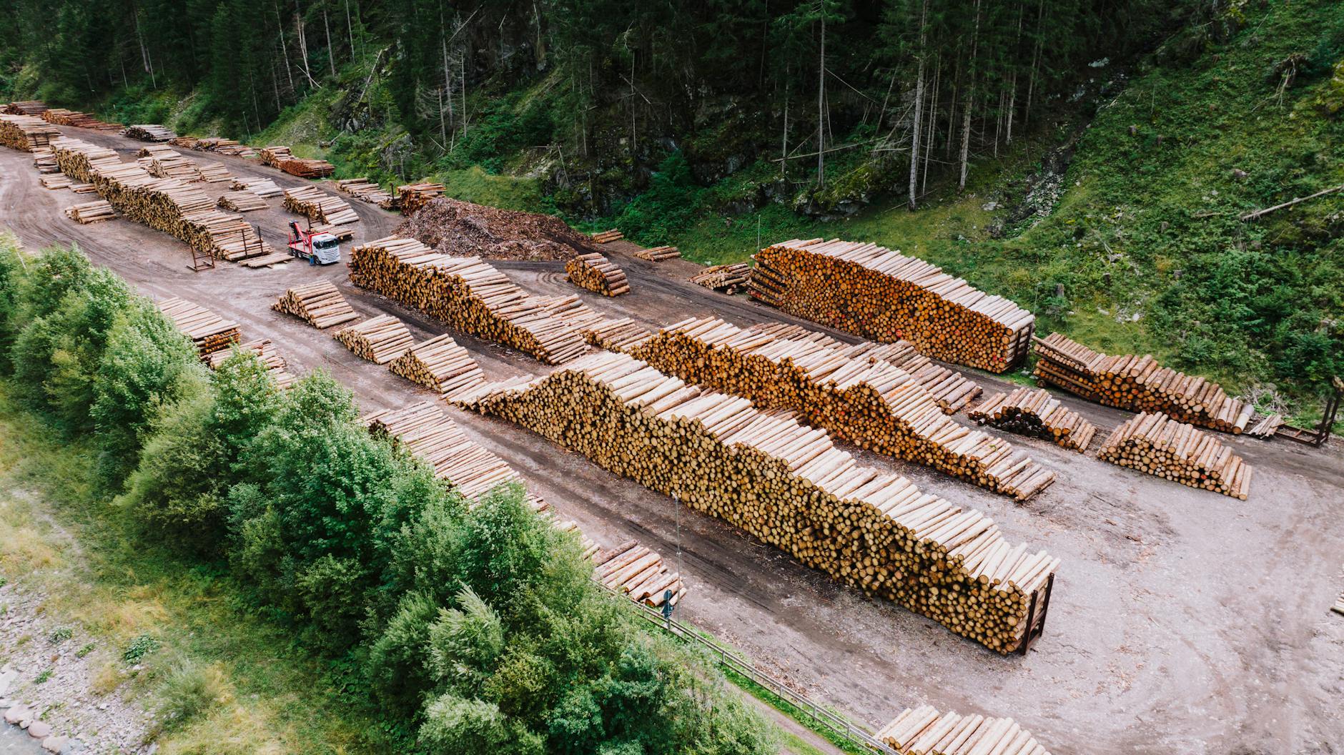Holzleitner Budget Kürzungen Detailansicht: Holzleitner Budget Kürzungen