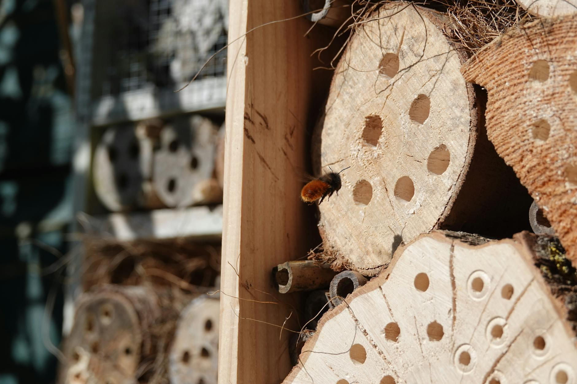 Detailansicht: Insektenhotel Bauen