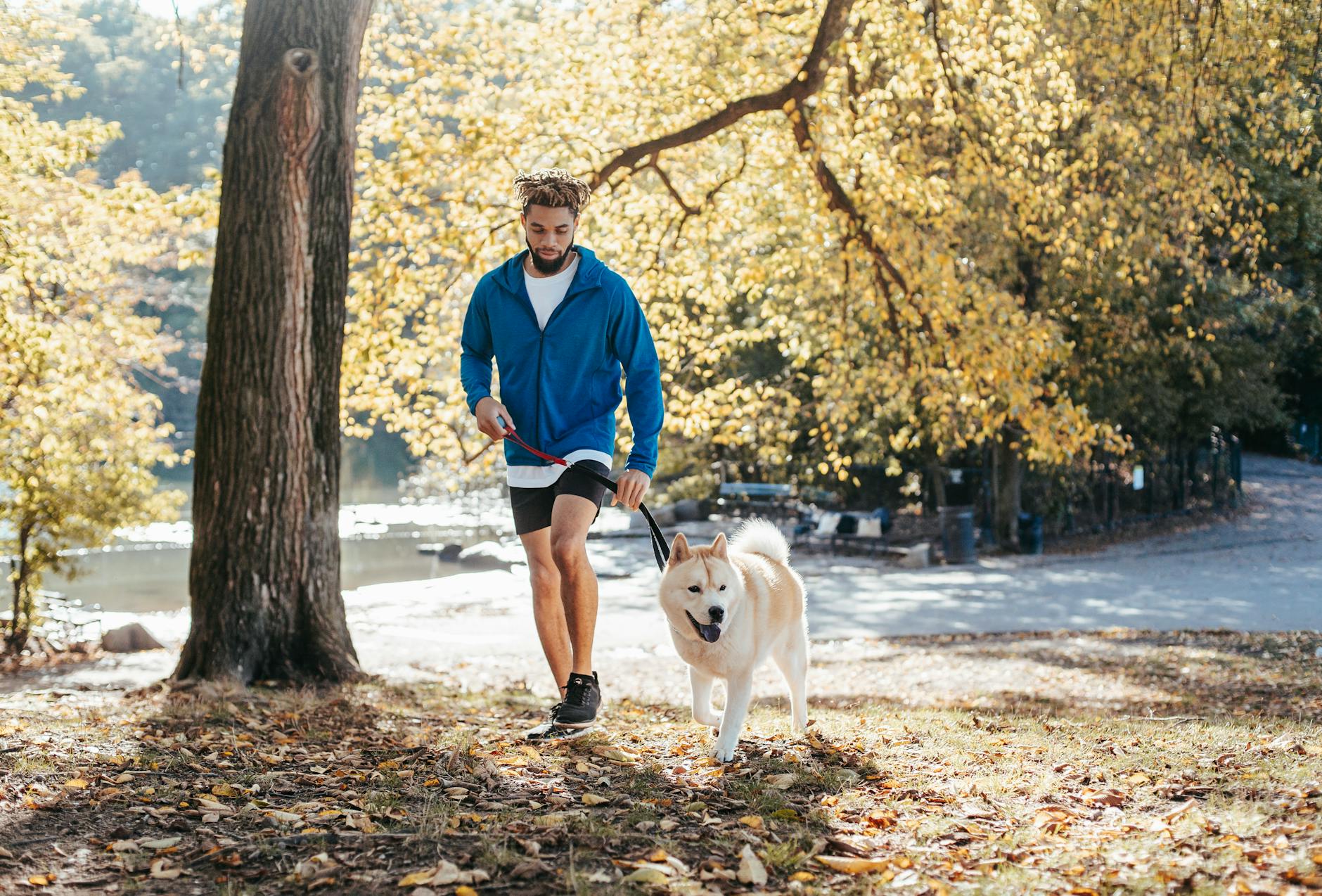 Illustration zu Joggen Mit Hund
