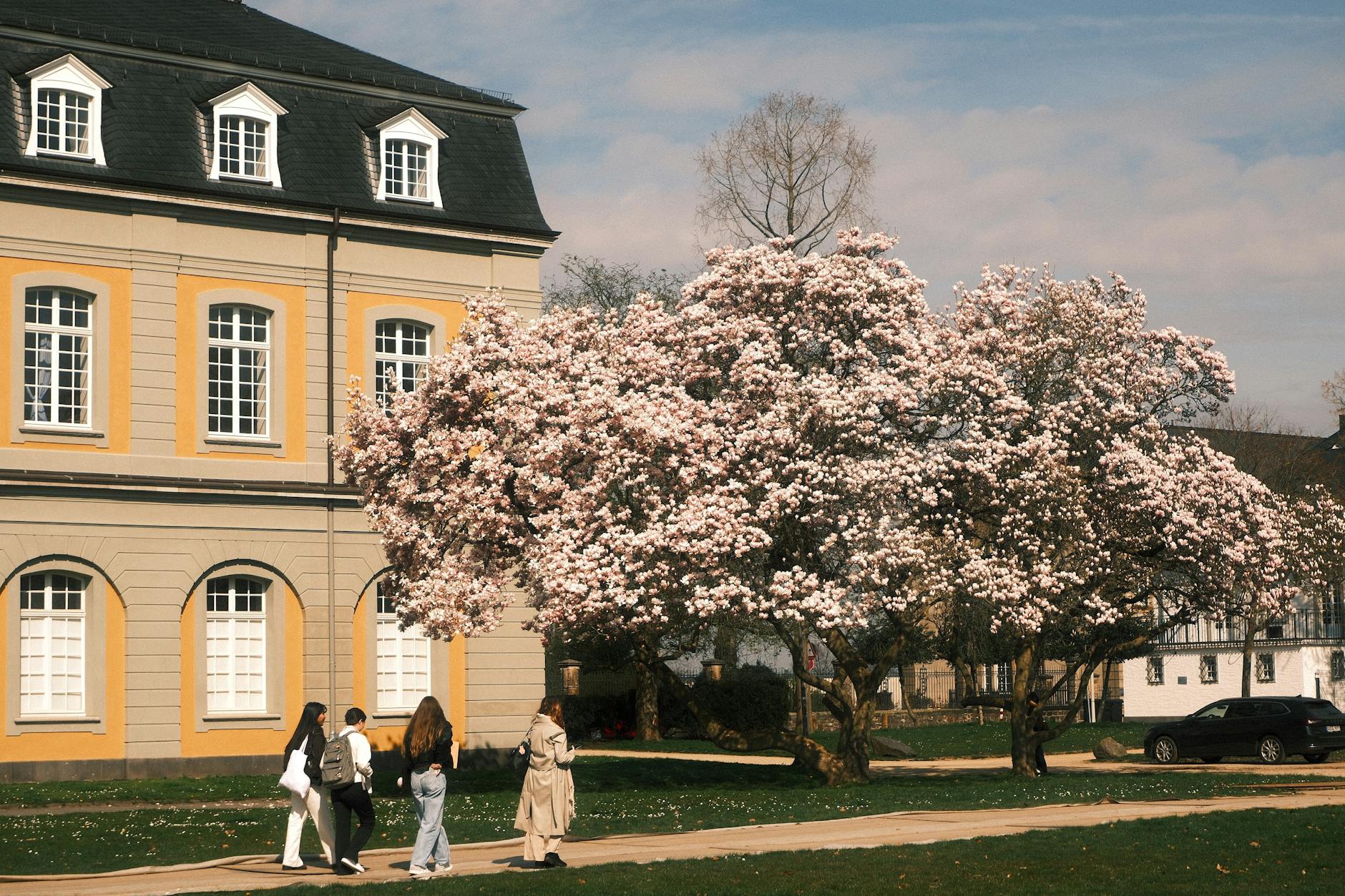 Detailansicht: KI In Schule