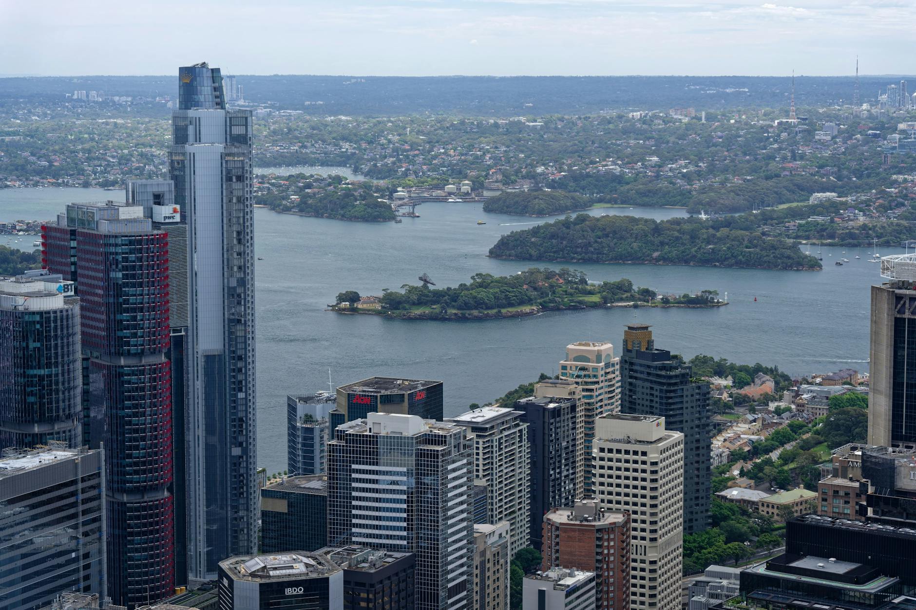 Mäuseplage Australien Detailansicht: Mäuseplage Australien