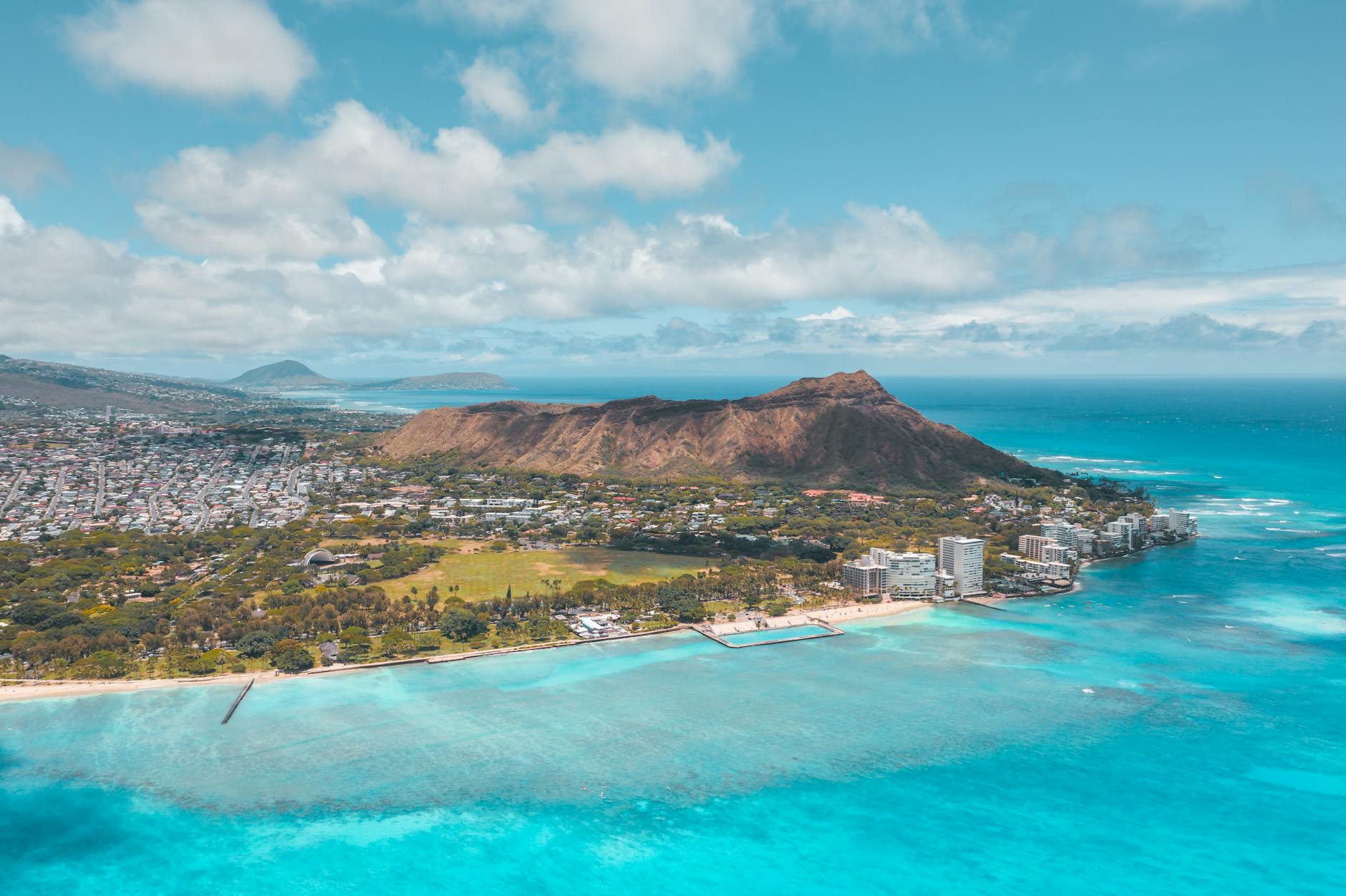 Illustration zu Mönchsrobbe Hawaii Angriff